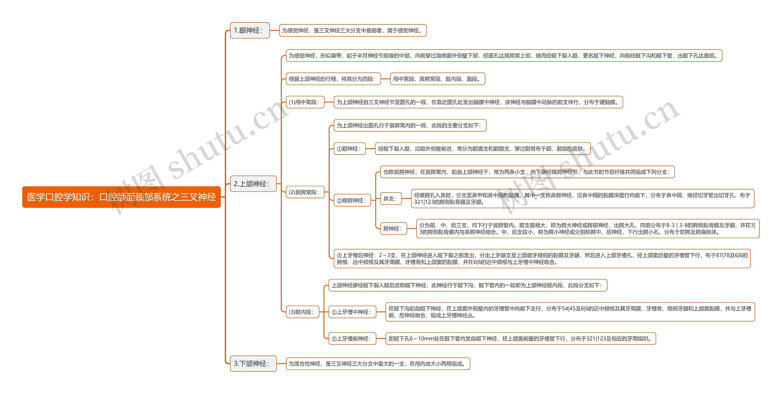 医学口腔学知识:口腔颌面颈部系统之三叉神经思维导图高清图 医学口腔学知识:口腔颌面颈部系统之三叉神经思维导图