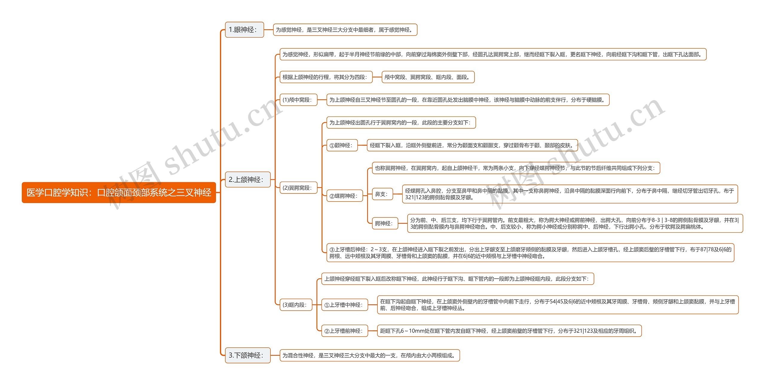 医学口腔学知识：口腔颌面颈部系统之三叉神经思维导图