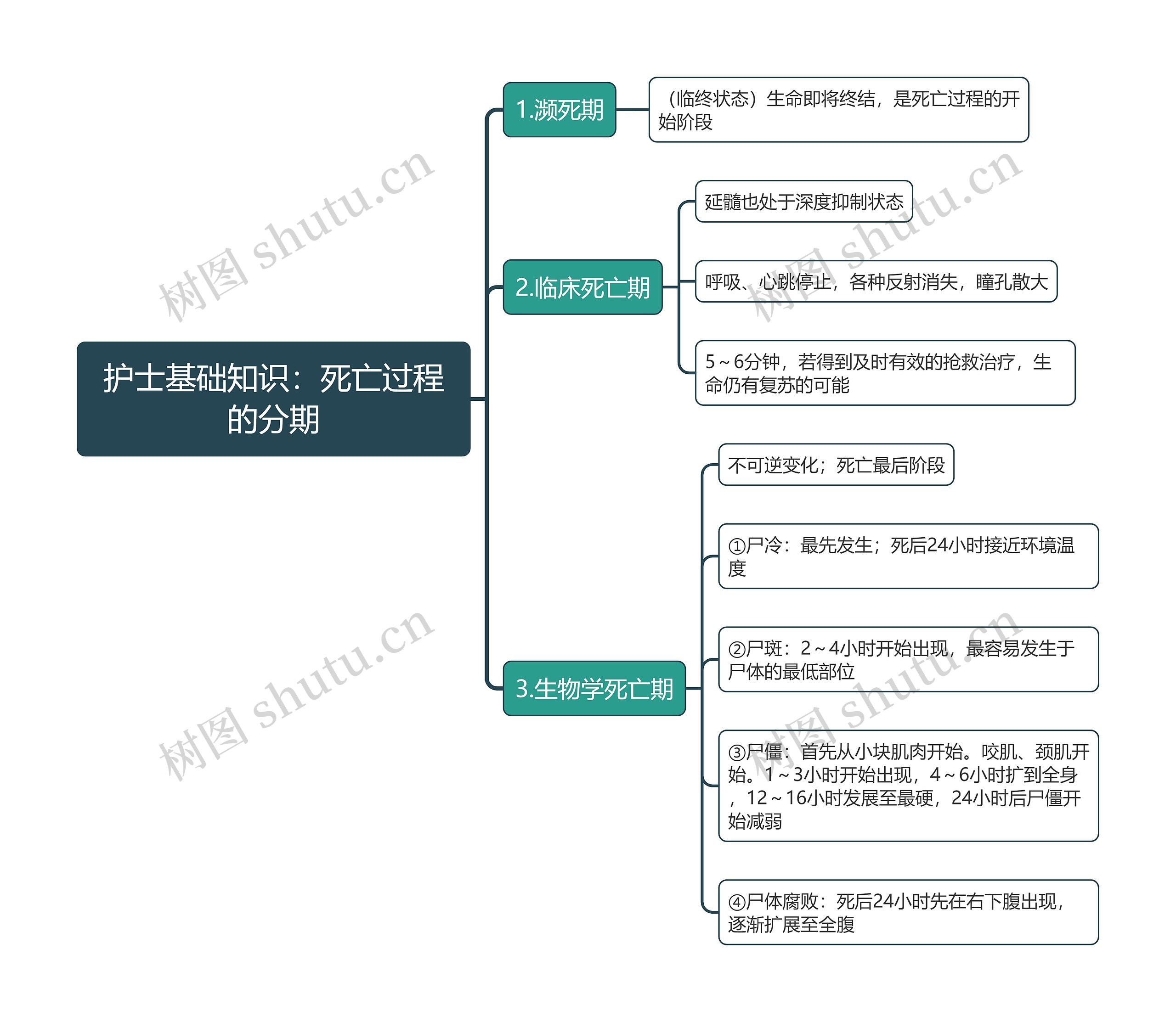 护士基础知识：​死亡过程的分期