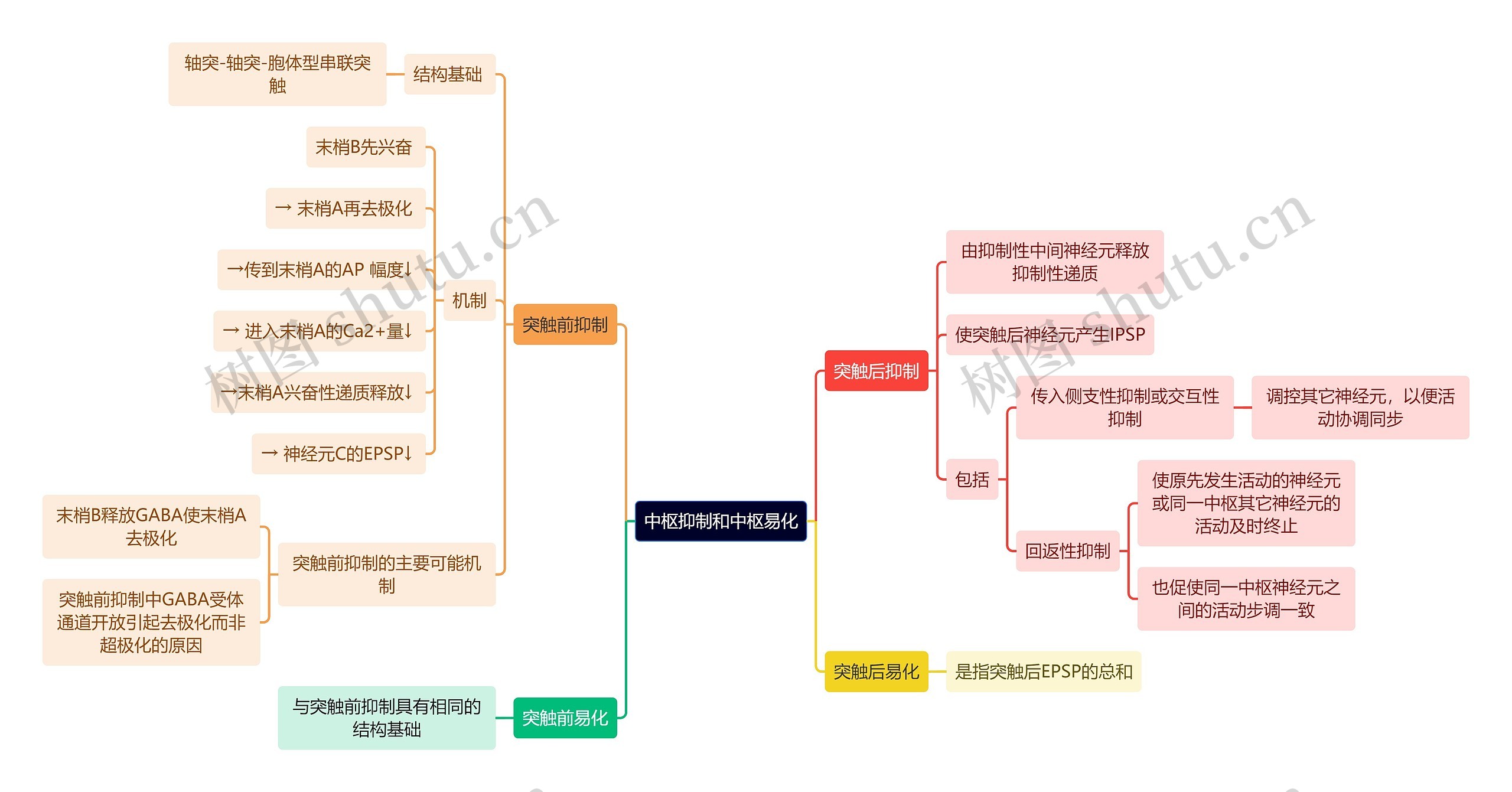 医学知识中枢抑制和中枢易化思维导图