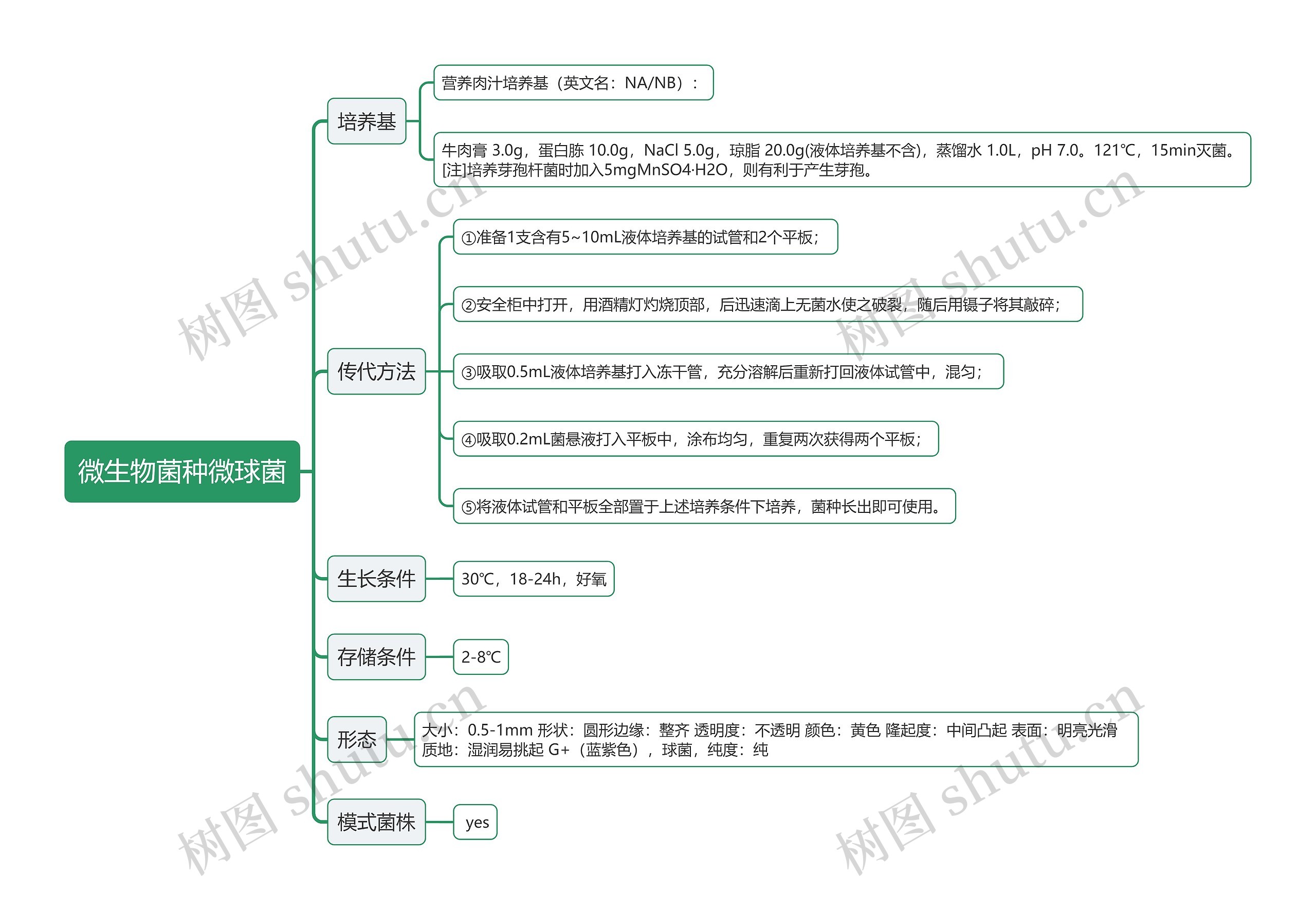 微生物菌种微球菌思维导图