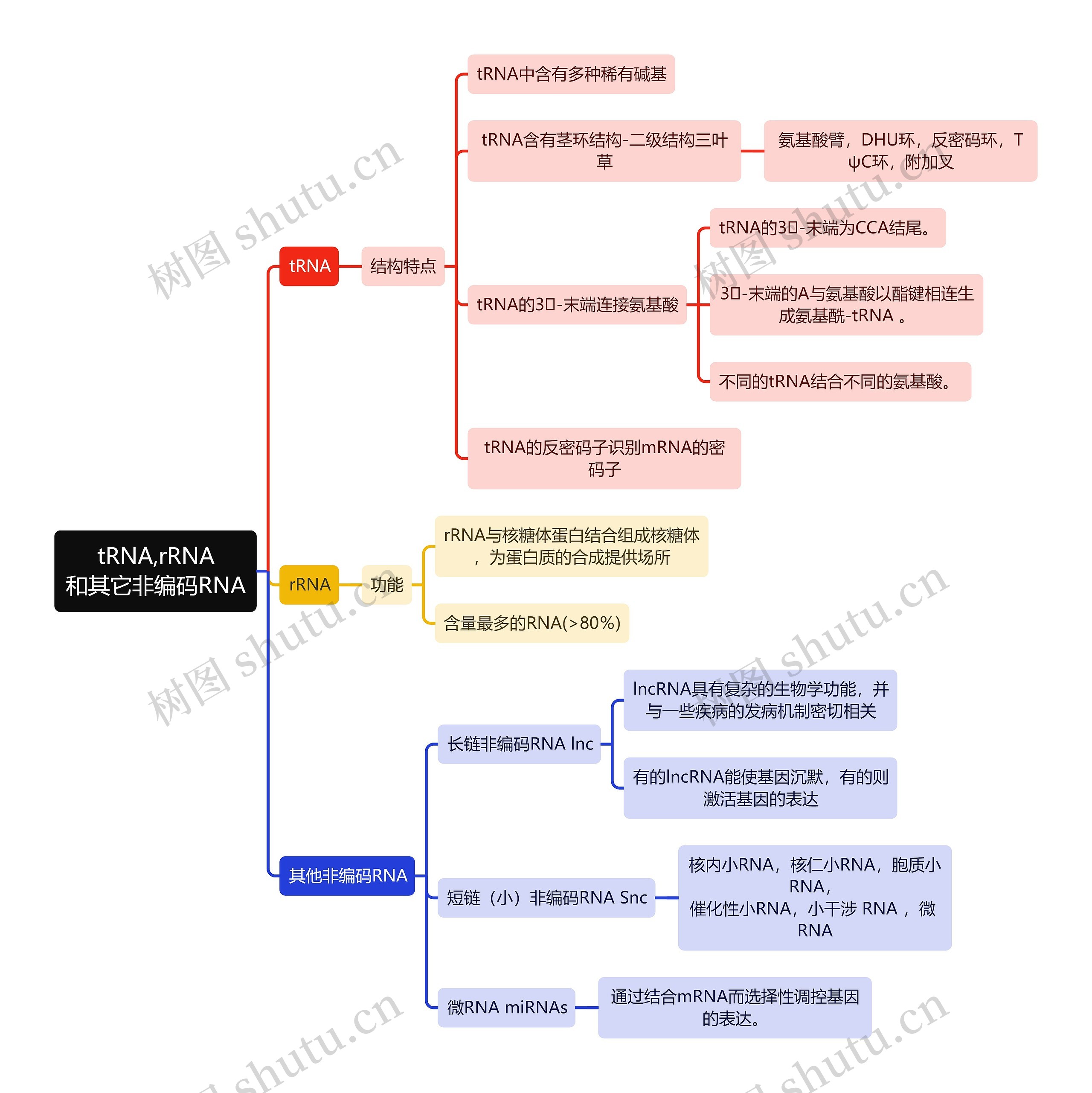 生化知识tRNA,rRNA和其它非编码RNA思维导图