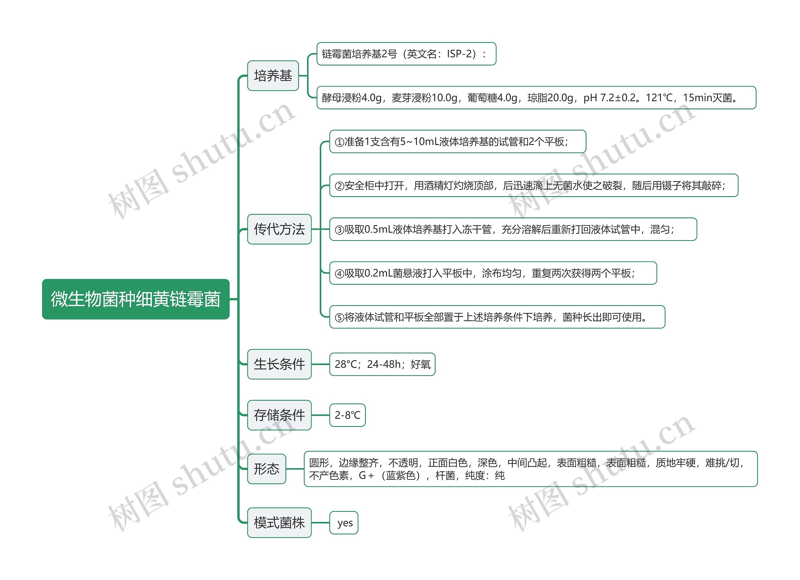 微生物菌种细黄链霉菌思维导图