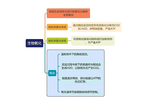 医学知识生物氧化思维导图