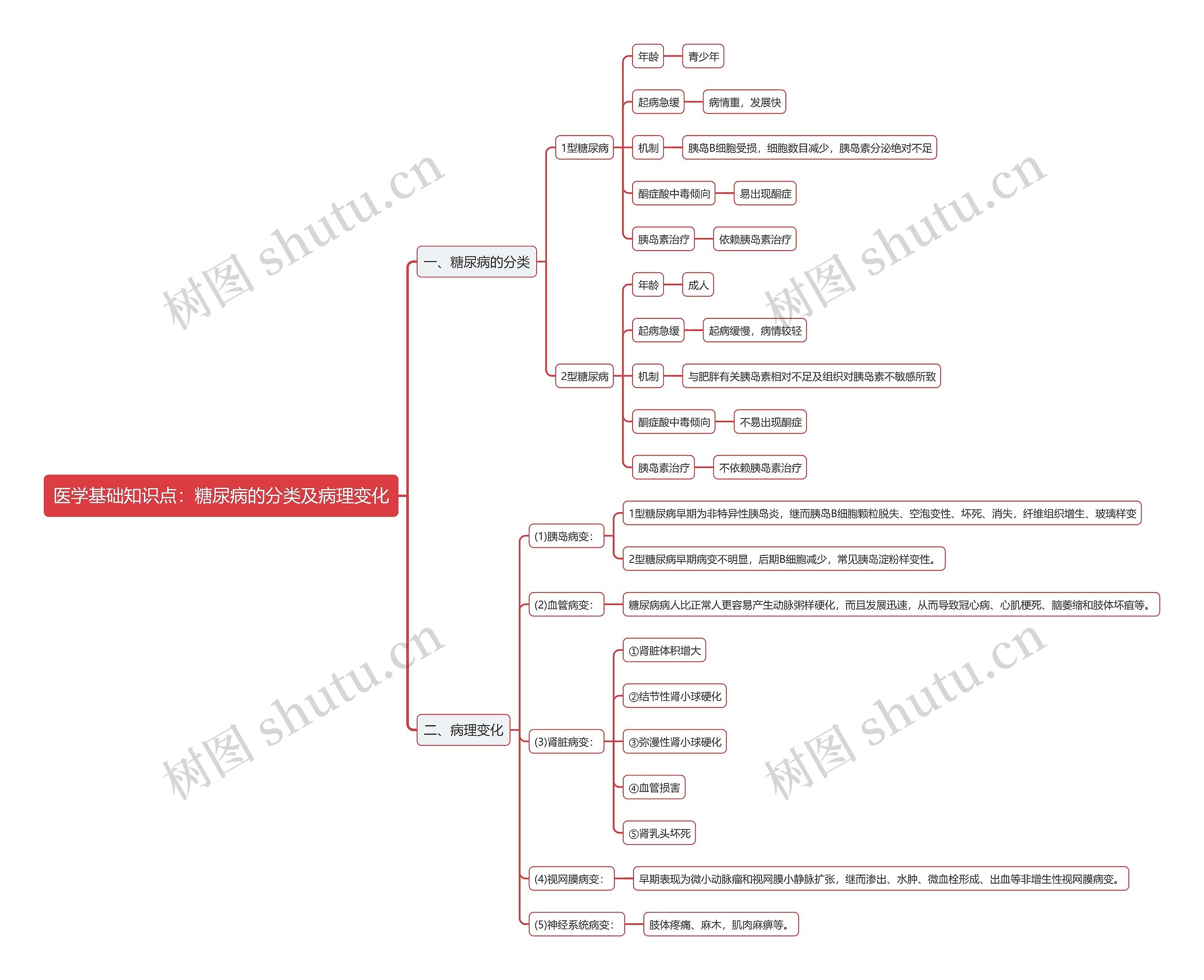 医学基础知识点：糖尿病的分类及病理变化思维导图