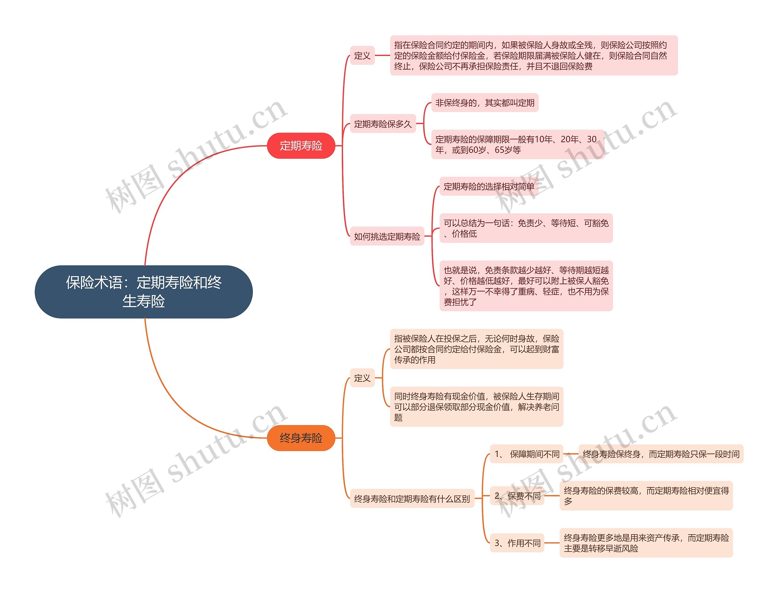 保险术语：定期寿险和终生寿险思维导图