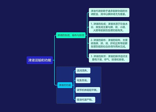 中医知识津液运输和功能思维导图