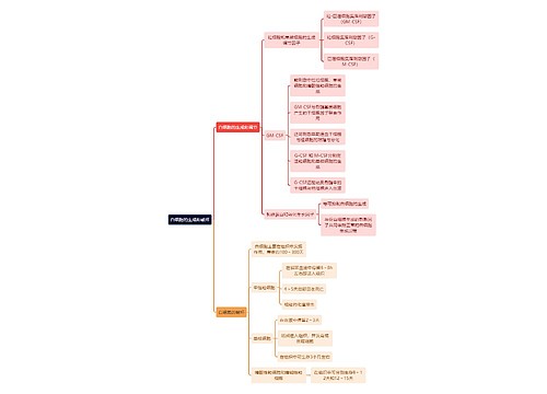 医学知识白细胞的生成和破坏思维导图