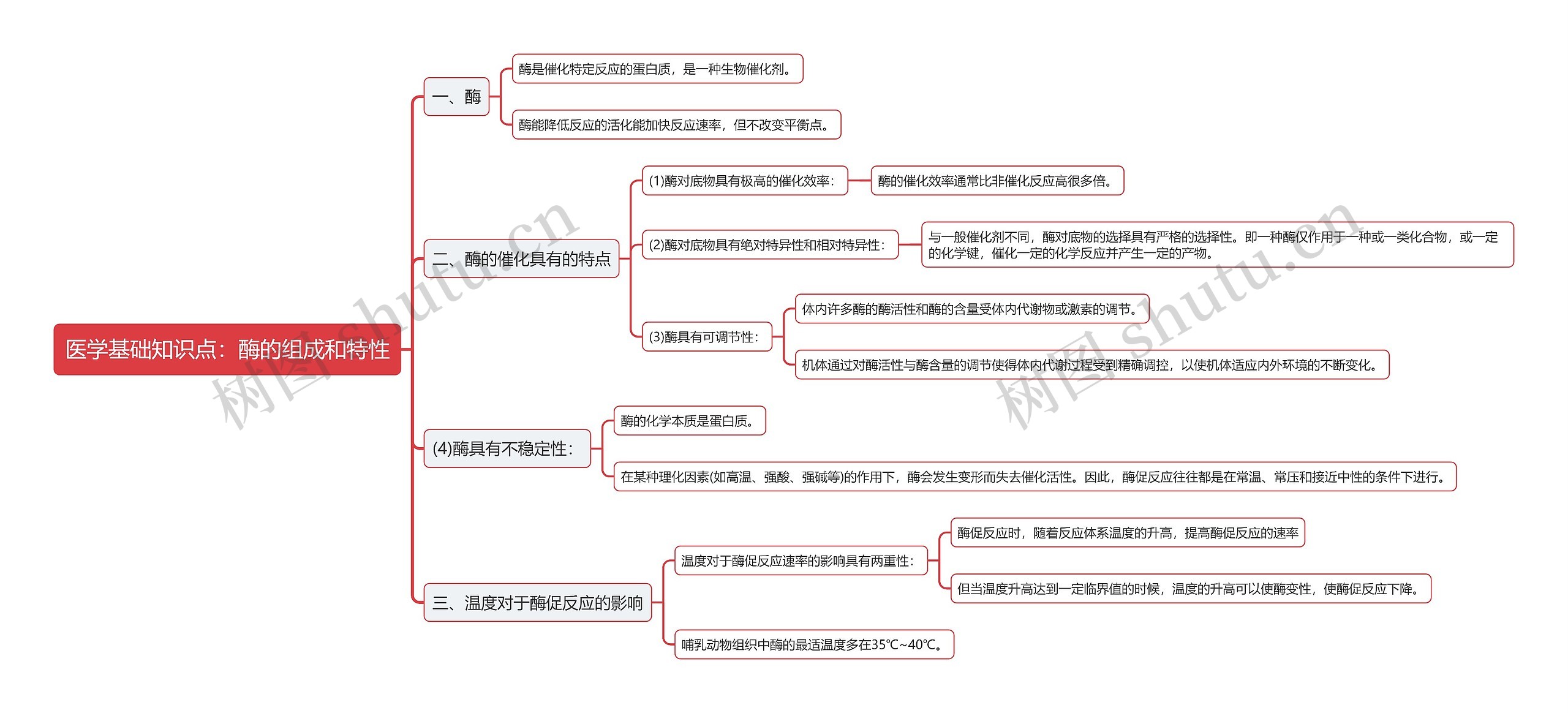 医学基础知识点：酶的组成和特性思维导图