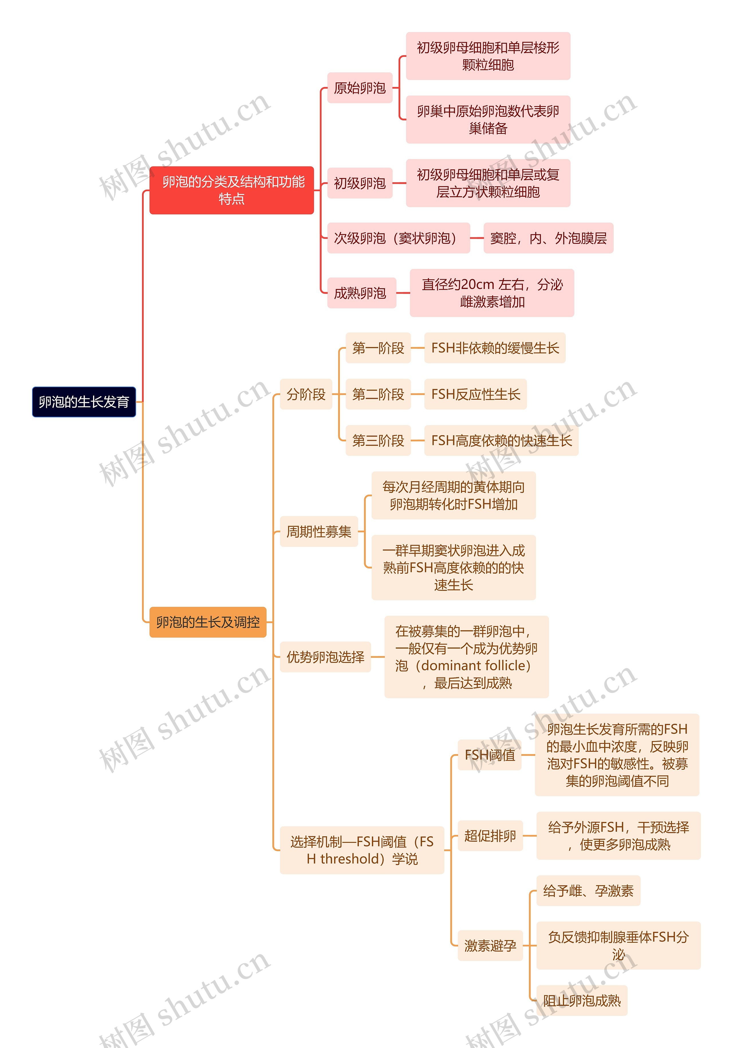 医学知识卵泡的生长发育思维导图