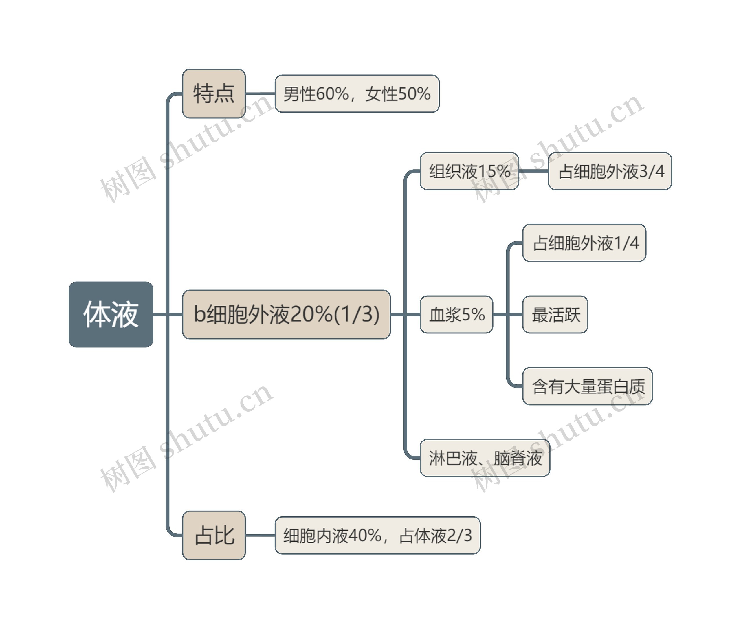 医学知识体液思维导图