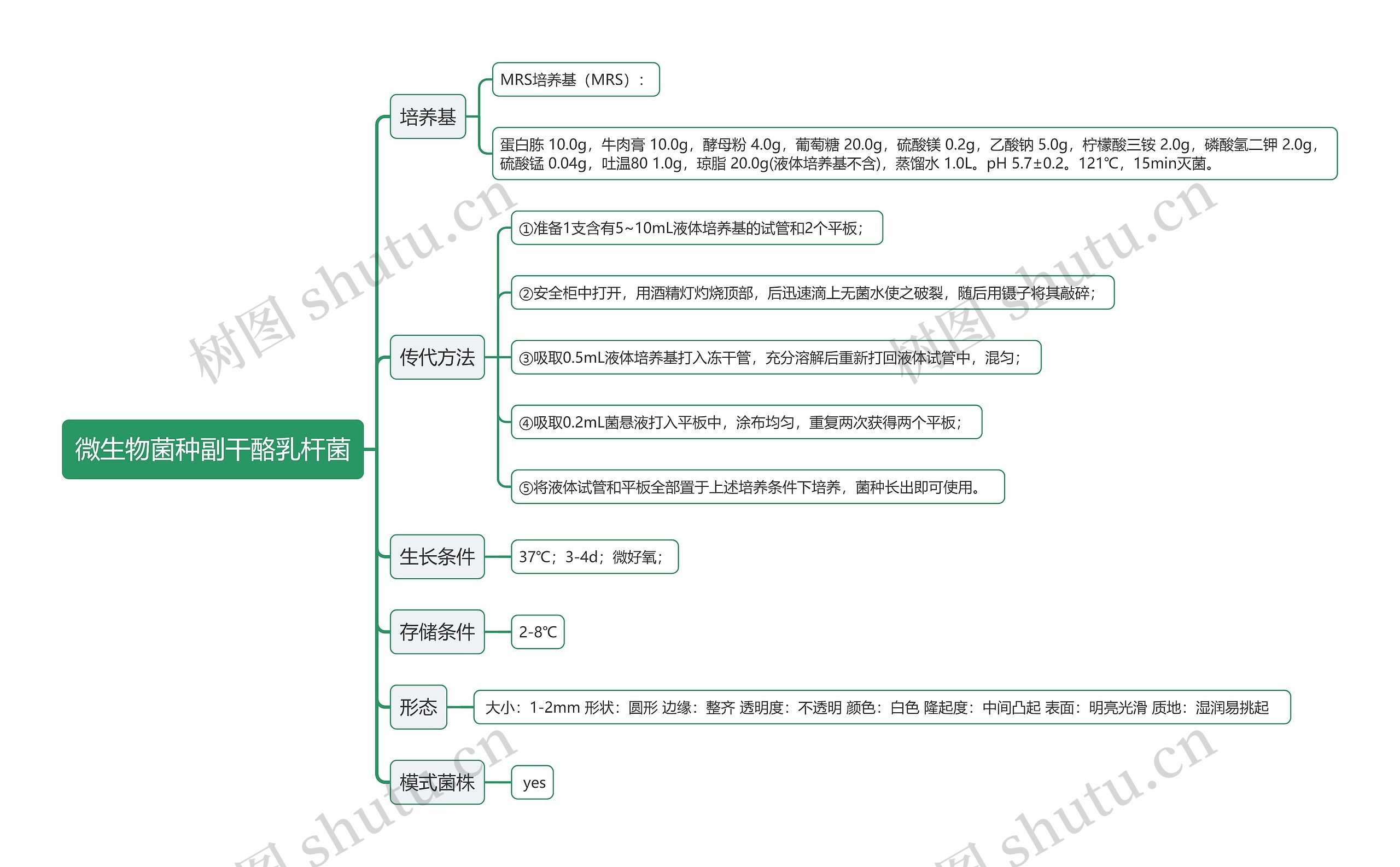 微生物菌种副干酪乳杆菌思维导图