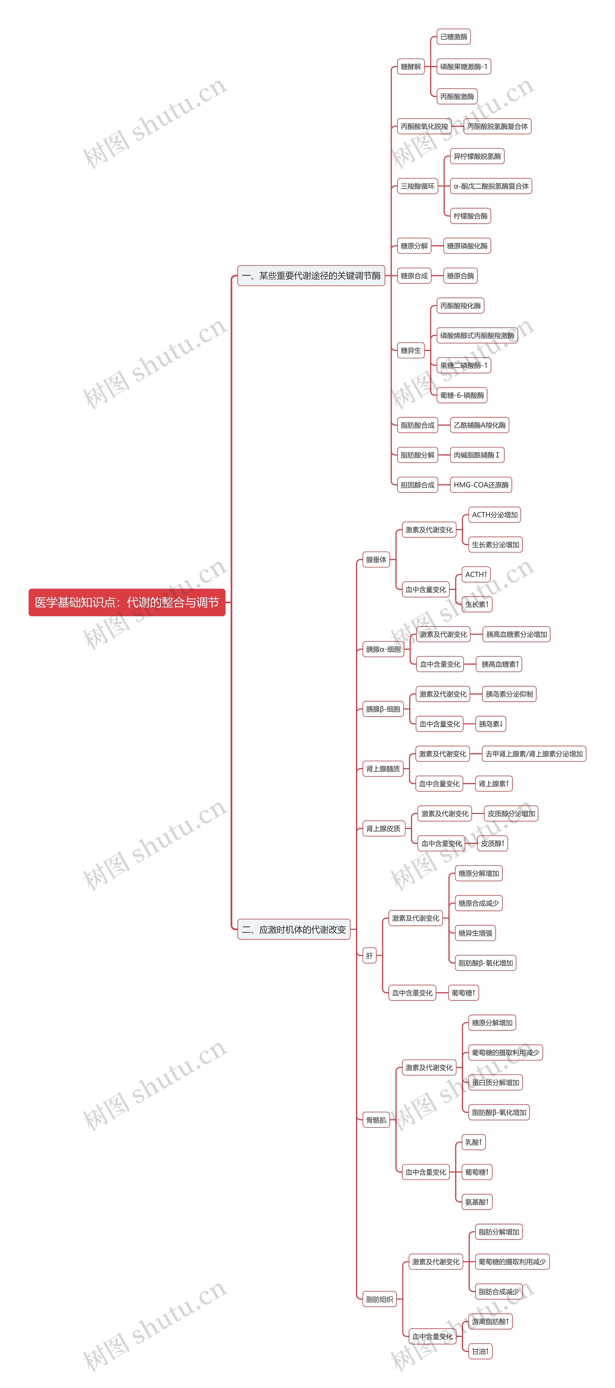 医学基础知识点：代谢的整合与调节思维导图