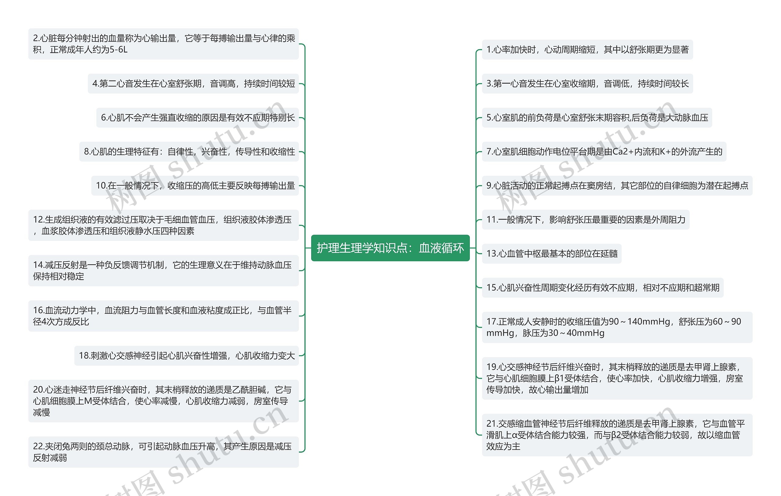 护理生理学知识点：血液循环