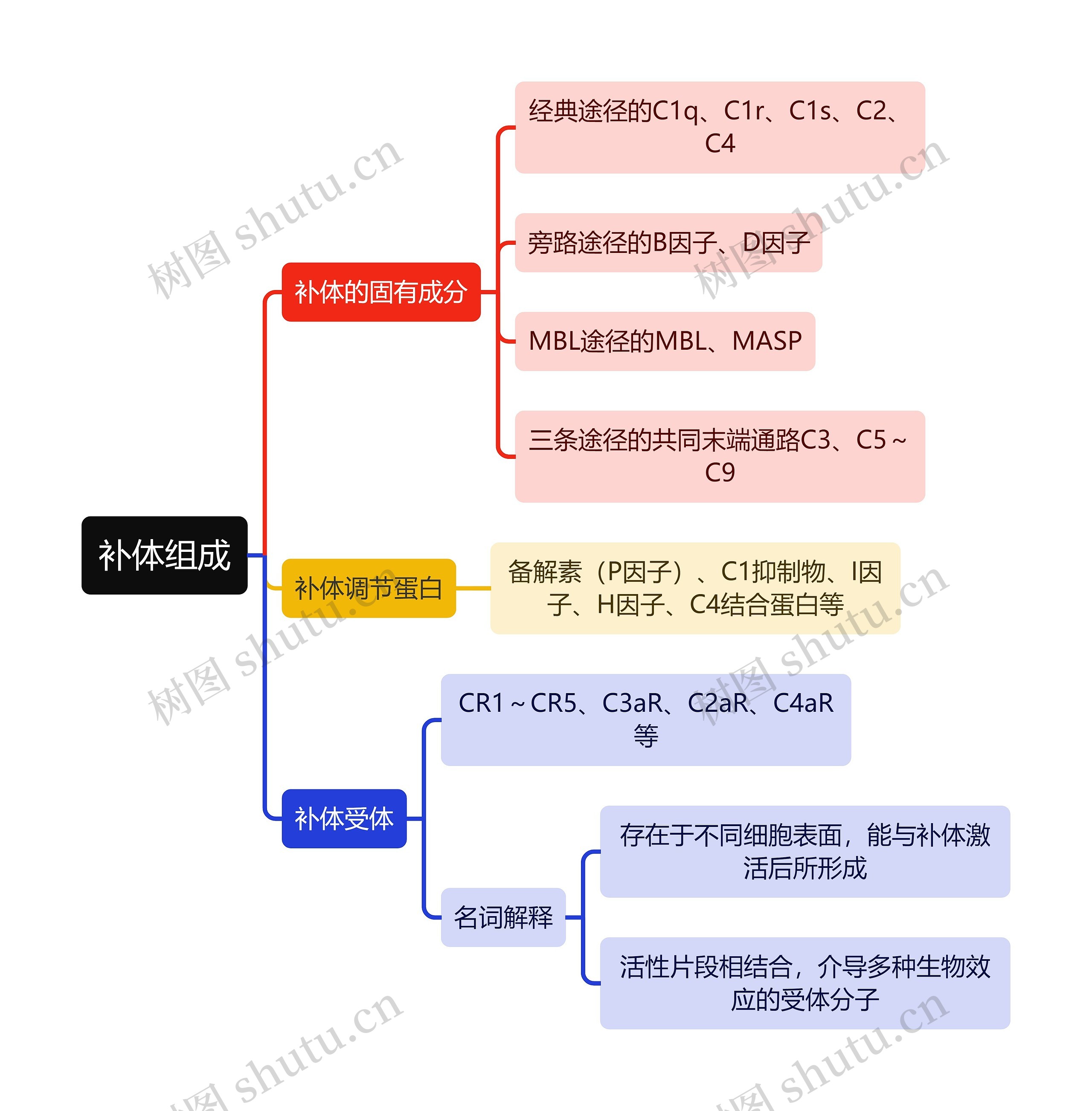 医学知识补体组成思维导图