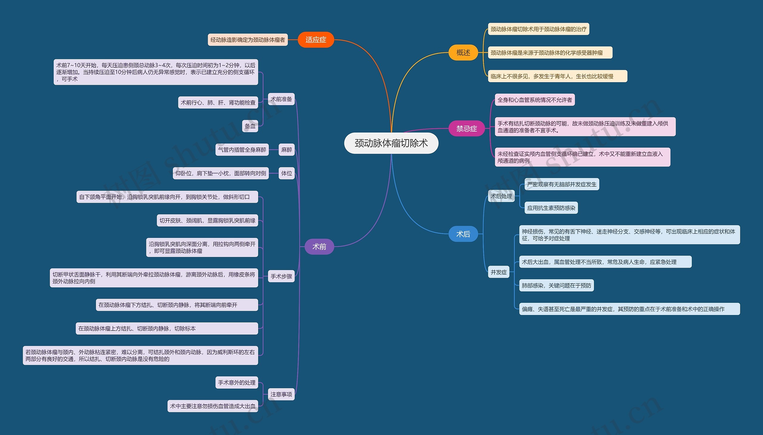  医学  颈动脉体瘤切除术思维导图