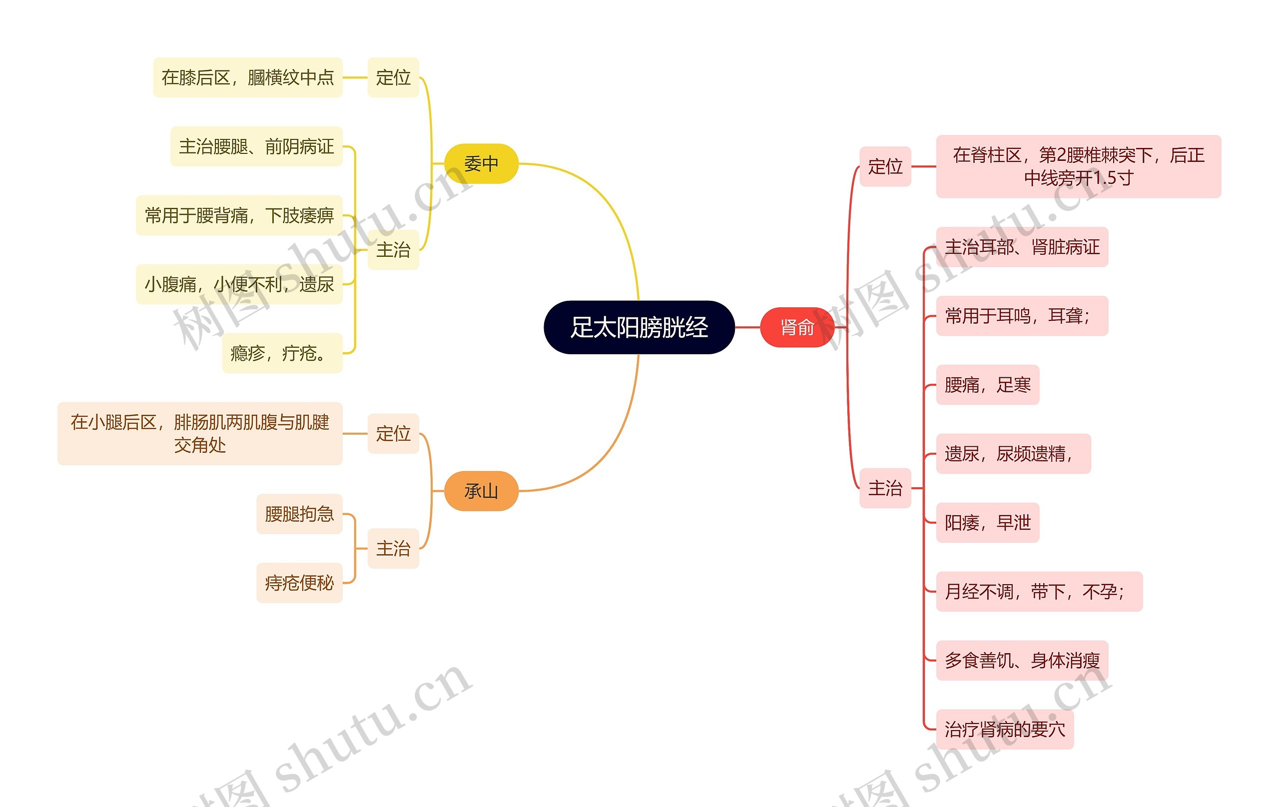 中医知识足太阳膀胱经思维导图