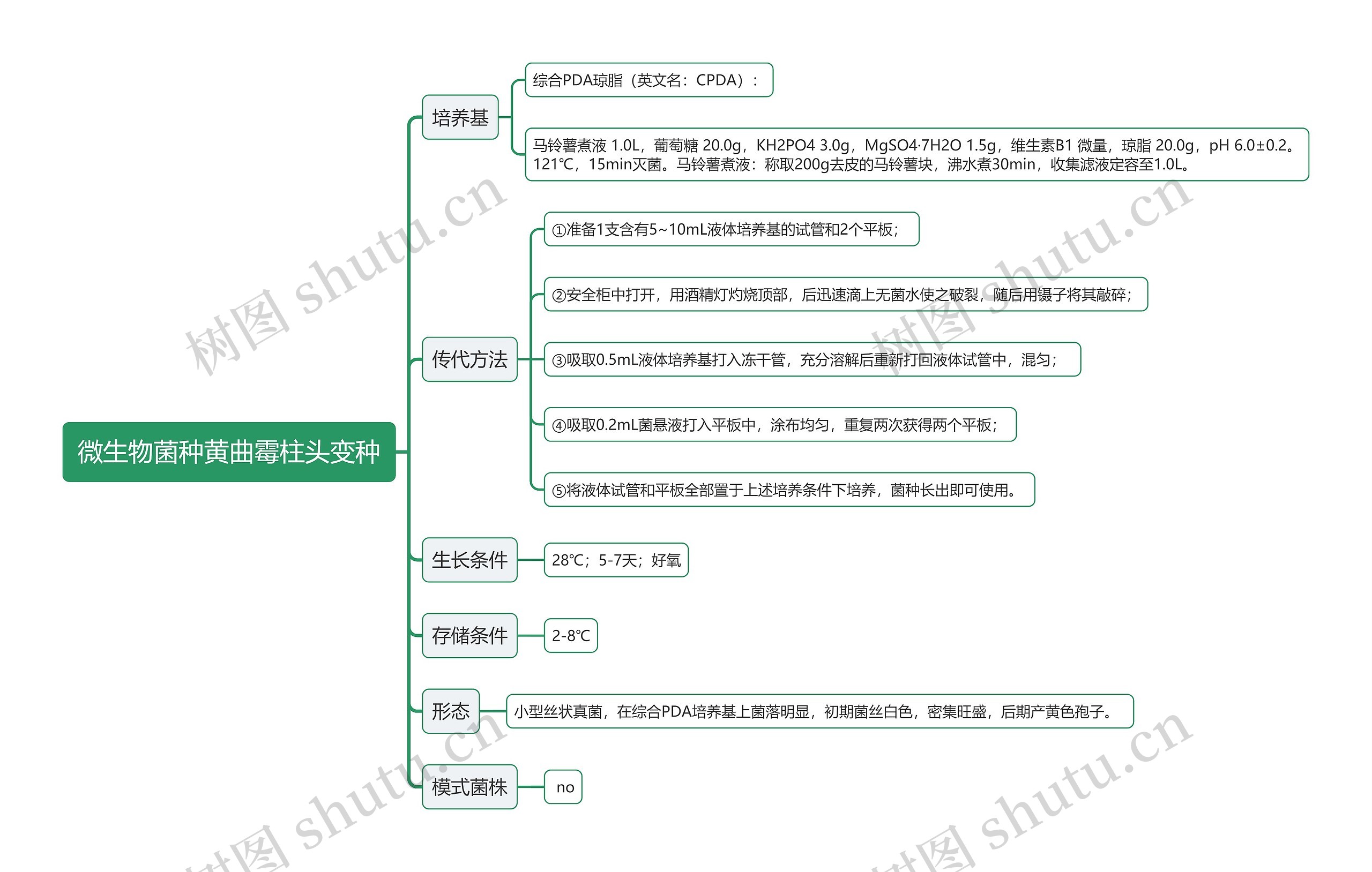 微生物菌种黄曲霉柱头变种思维导图