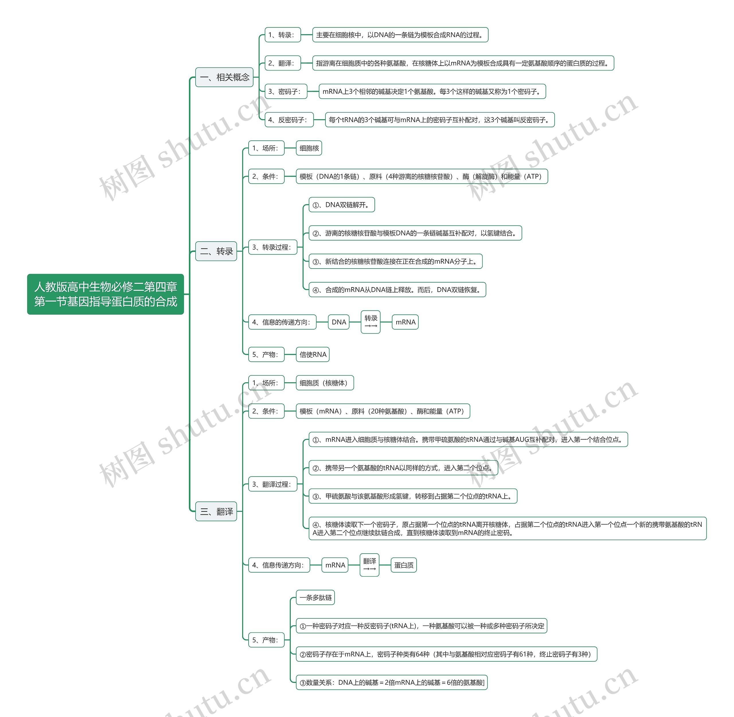 人教版高中生物必修二第四章第一节基因指导蛋白质的合成思维导图