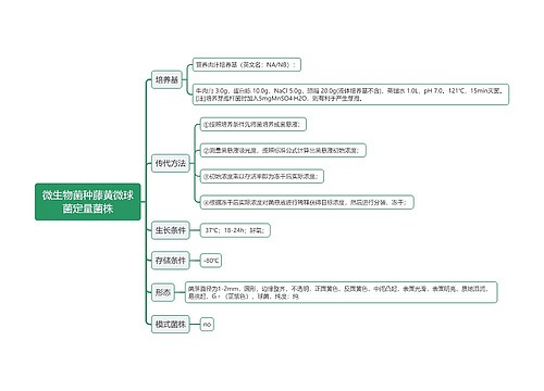 微生物菌种藤黄微球菌定量菌株思维导图