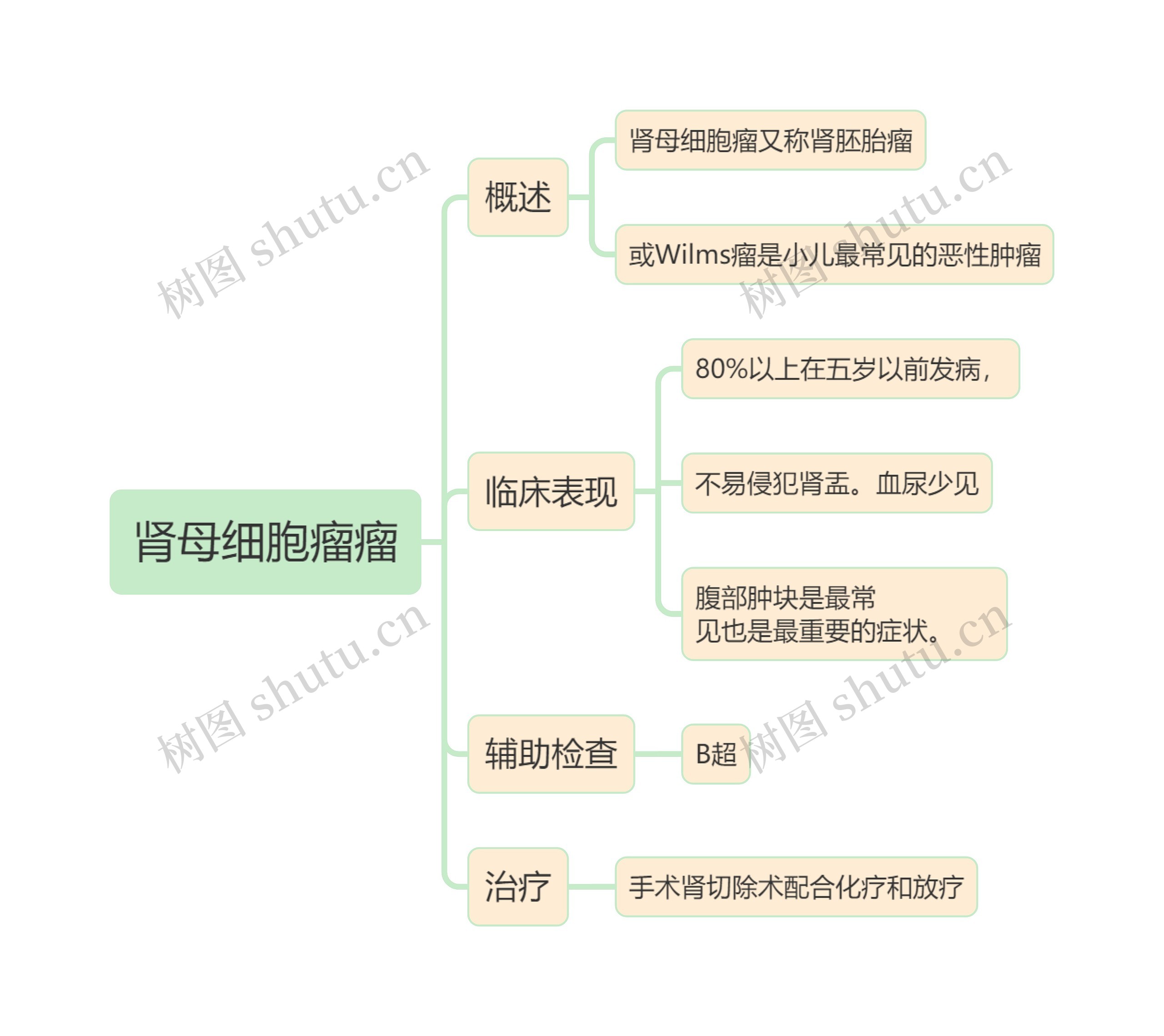 内科学知识肾母细胞瘤瘤思维导图