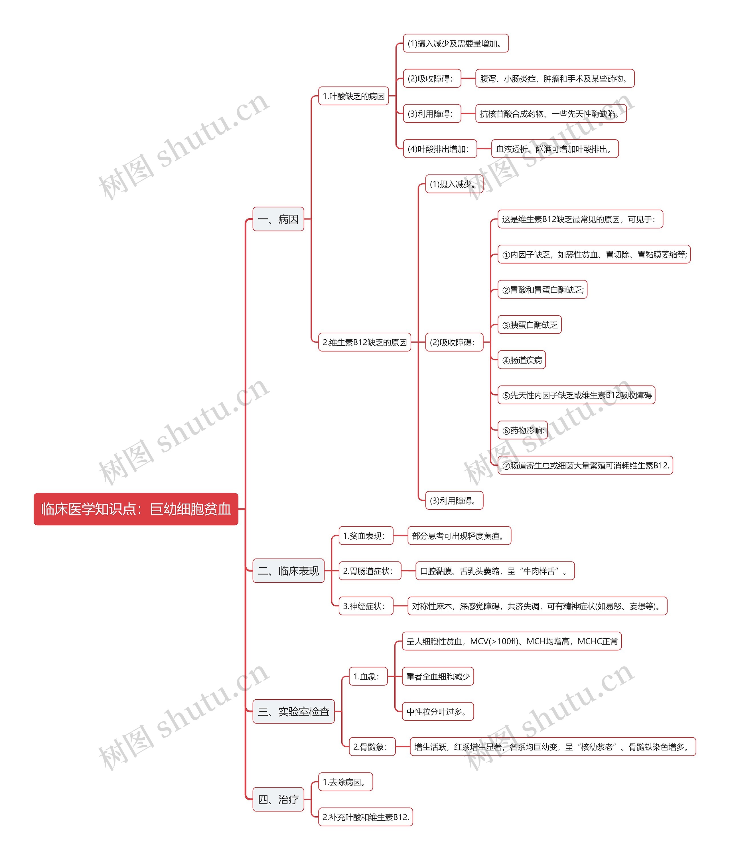 临床医学知识点：巨幼细胞贫血思维导图
