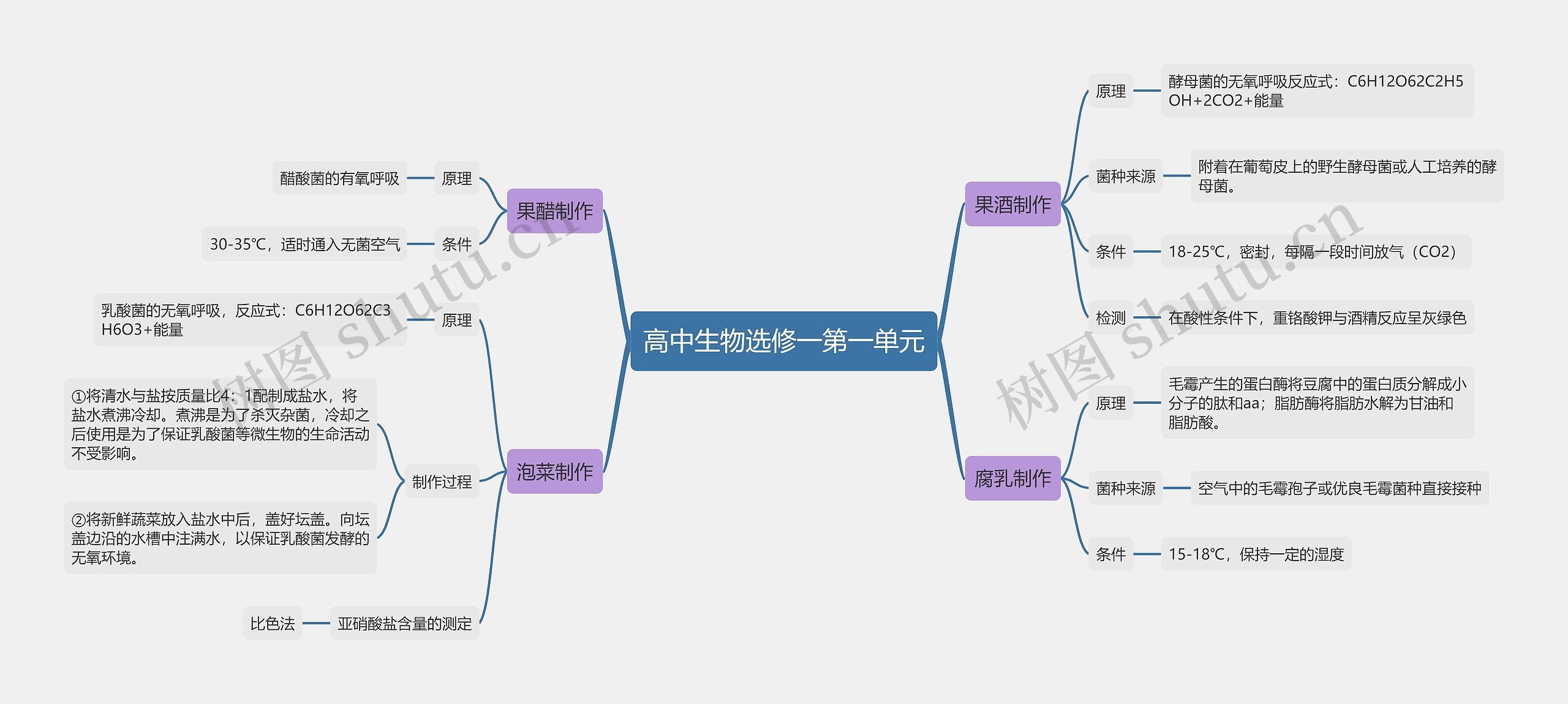高中生物选修一第一单元思维导图高清图 高中生物选修一第一单元思维导图