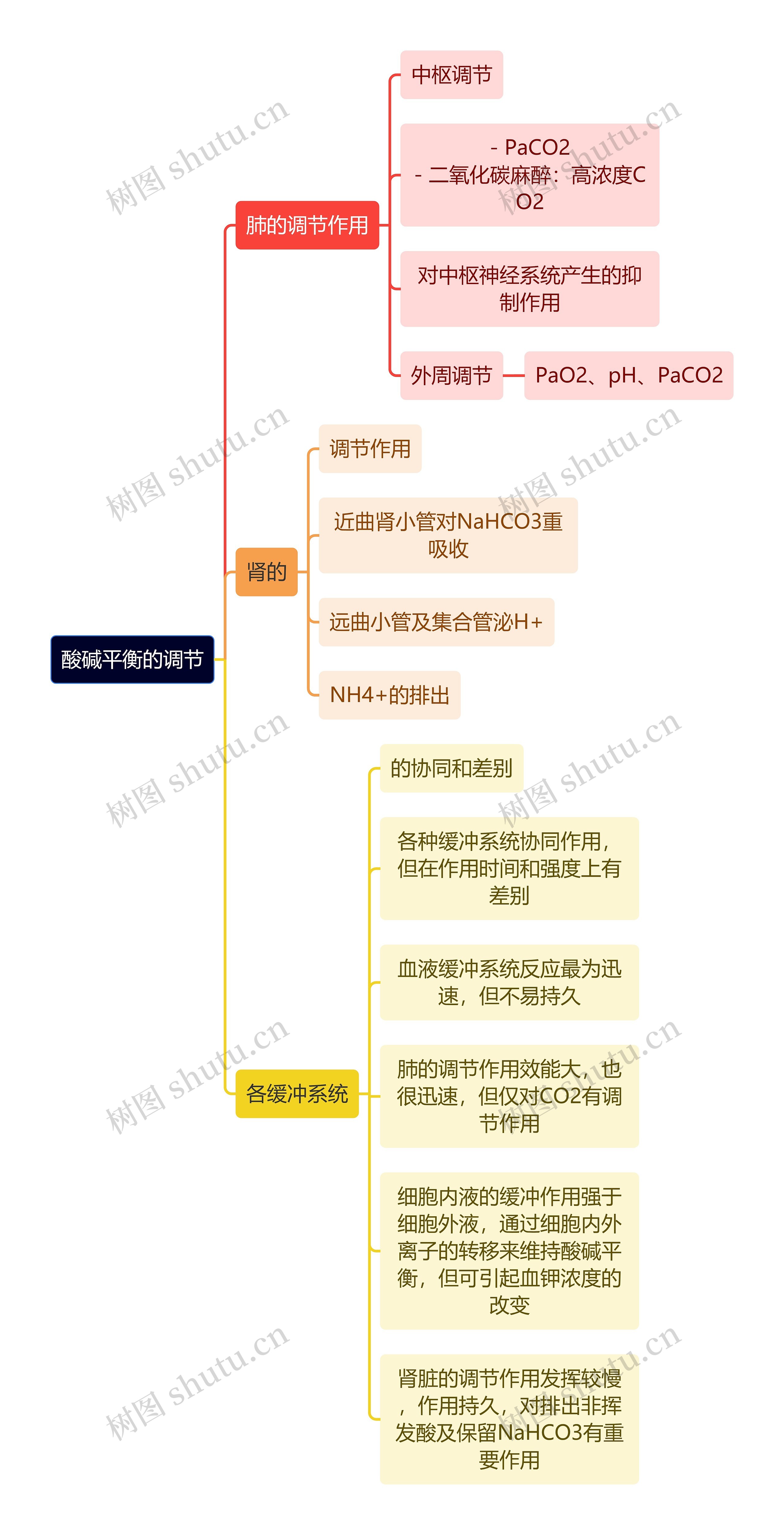 医学知识酸碱平衡的调节思维导图