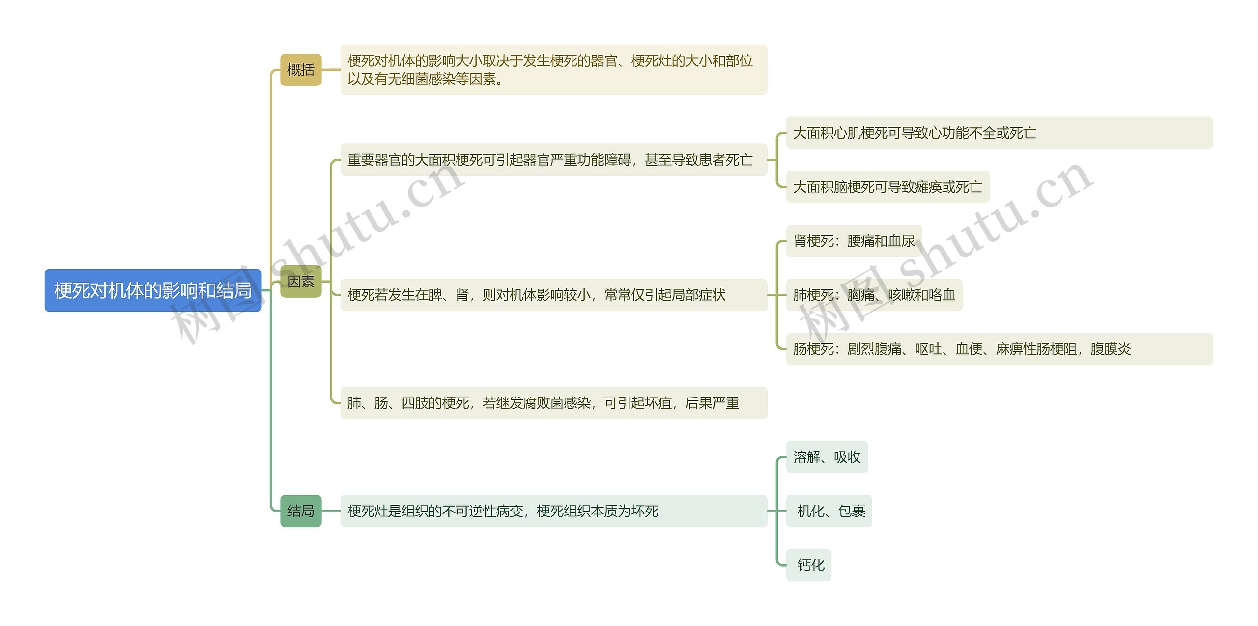 梗死对机体的影响和结局思维导图