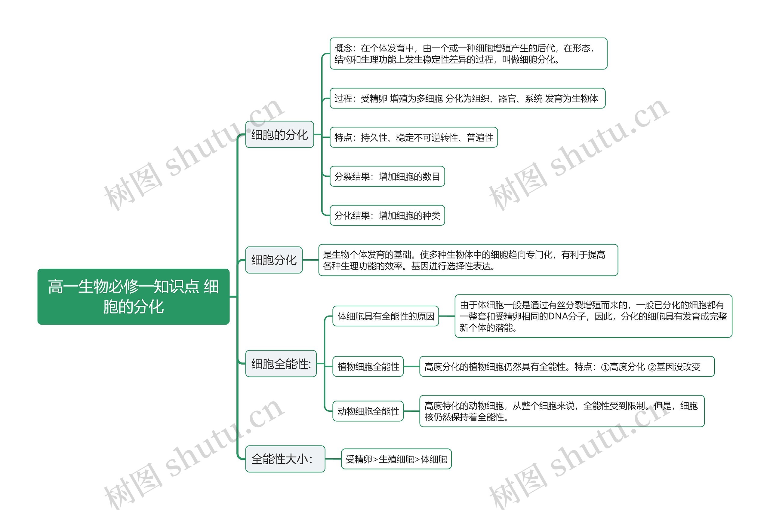 高一生物必修一知识点 细胞的分化思维导图