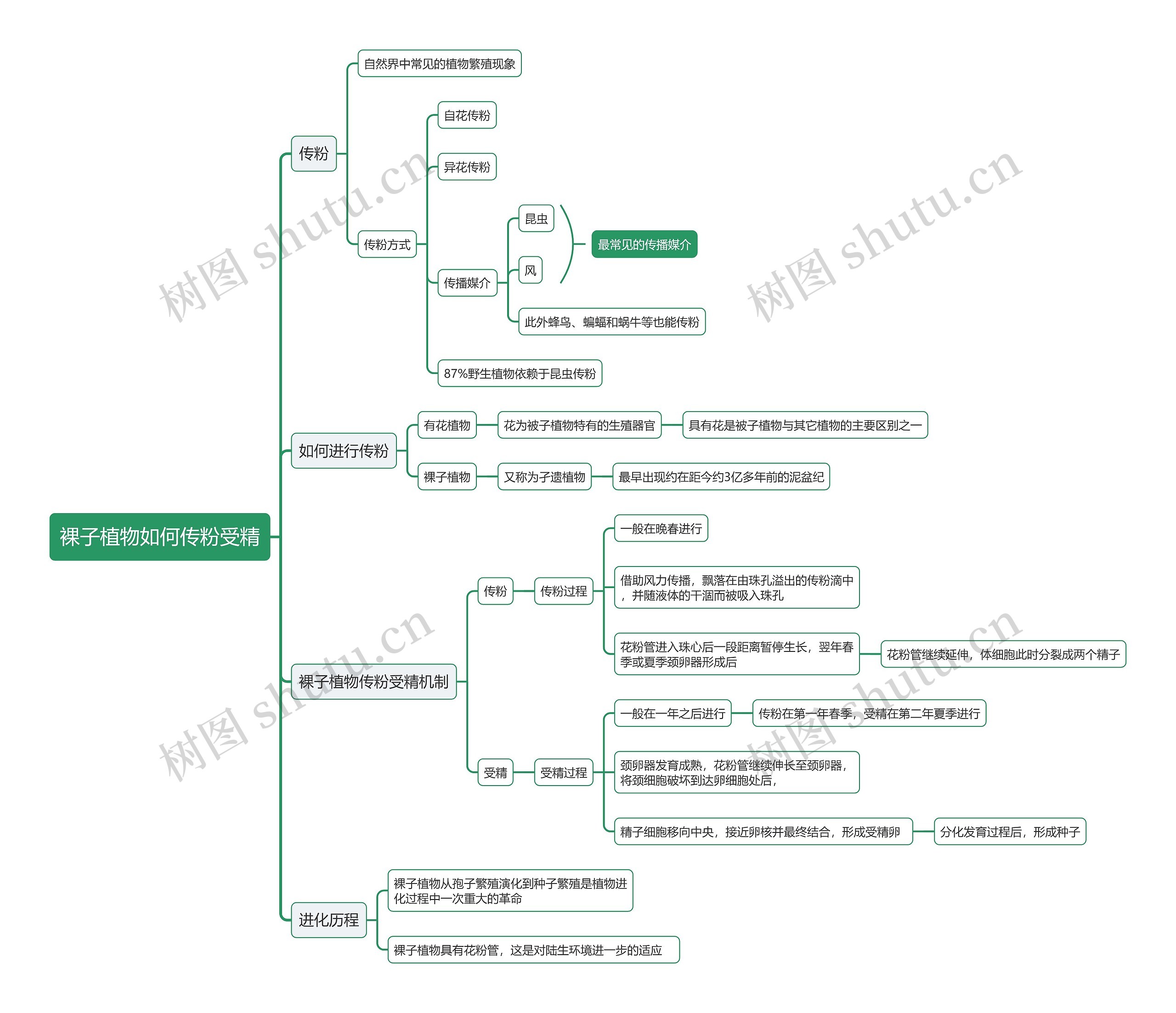 裸子植物如何传粉受精思维导图