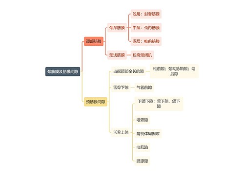 医学知识颈筋膜及筋膜间隙思维导图