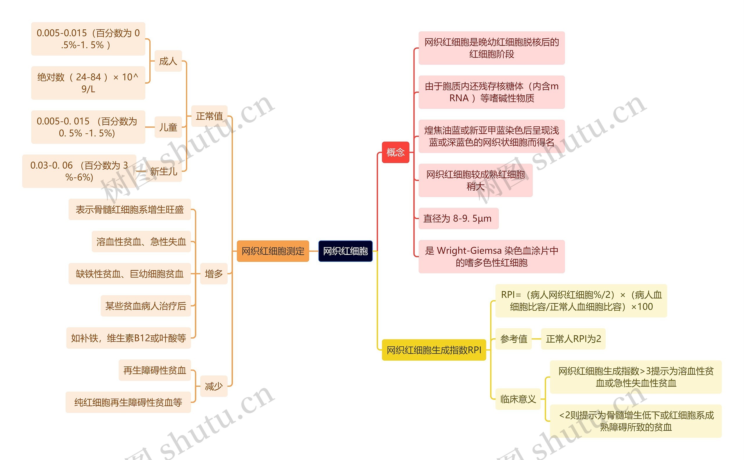 医学知识网织红细胞思维导图