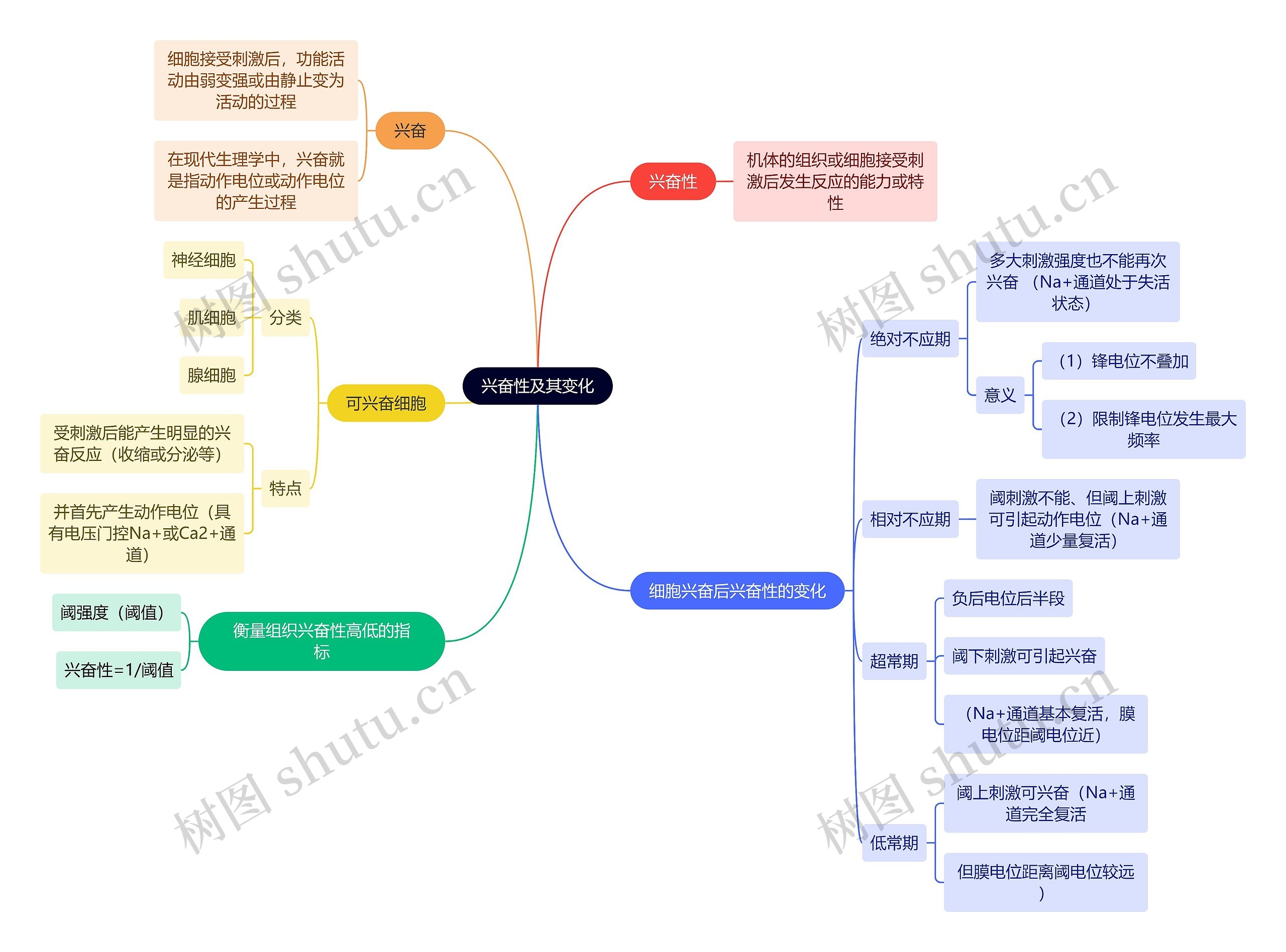 医学知识兴奋性及其变化思维导图