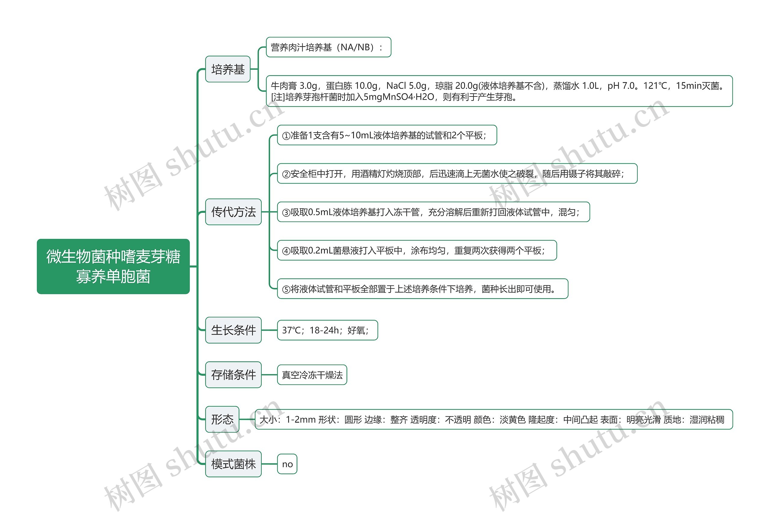 微生物菌种嗜麦芽糖寡养单胞菌思维导图