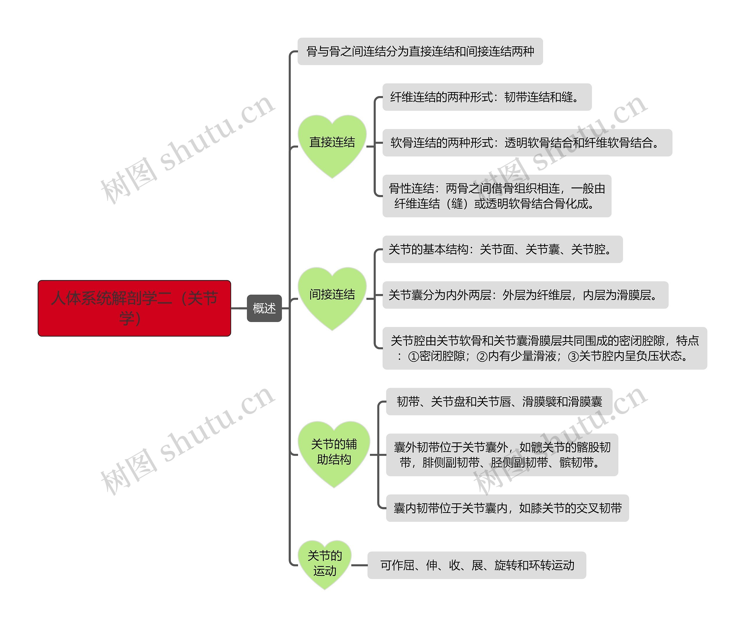 《人体系统解剖学二（关节学）》思维导图