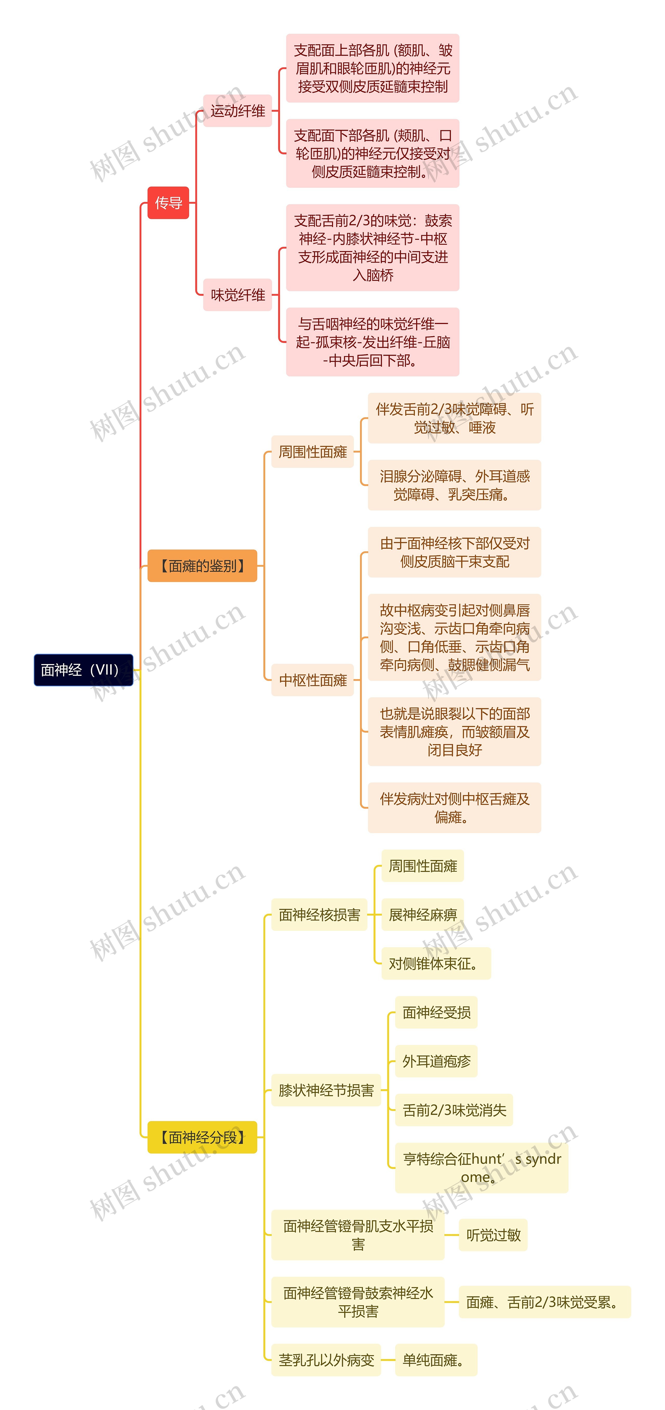 解剖学知识面神经思维导图