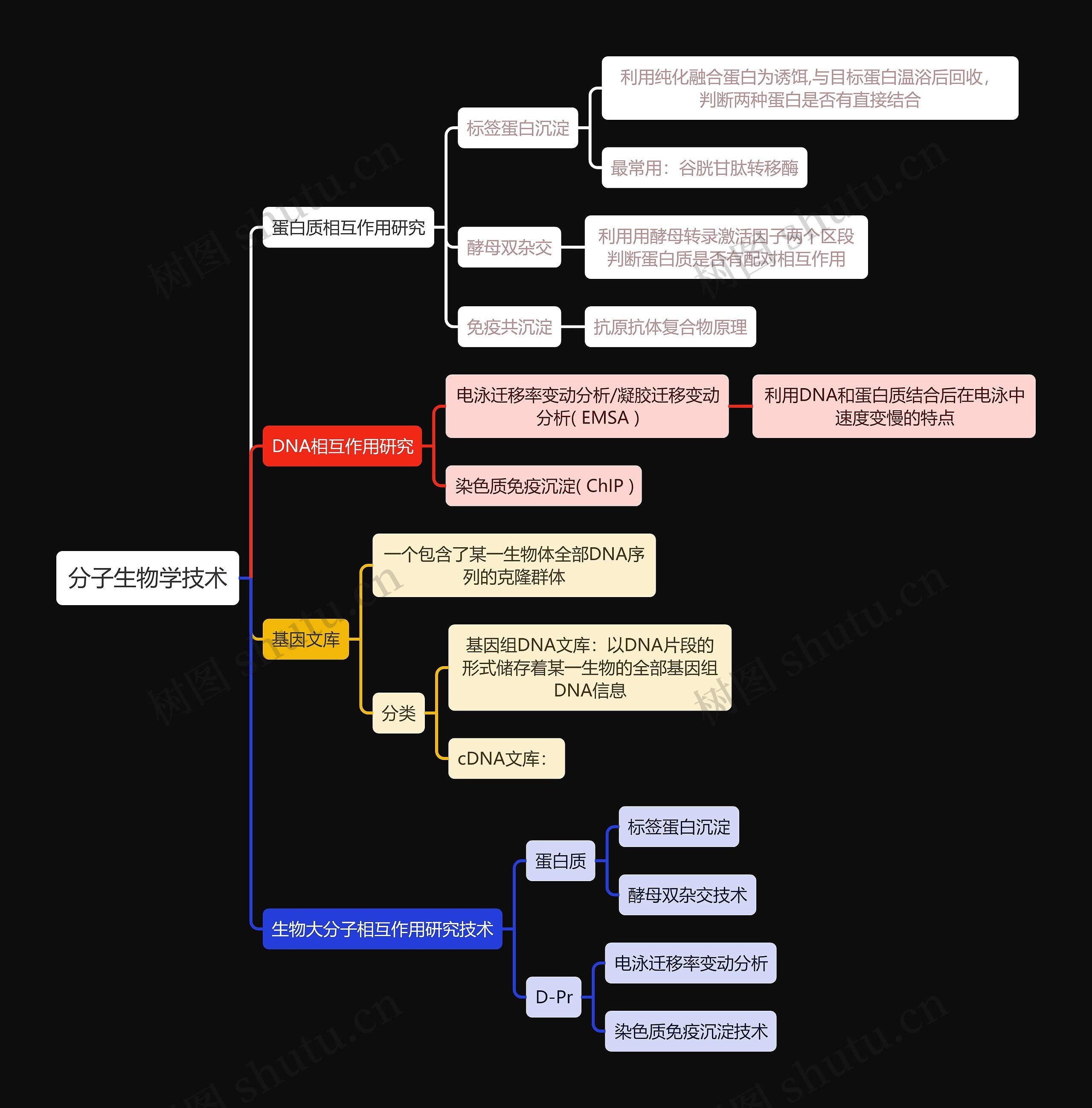 医学知识分子生物学技术思维导图