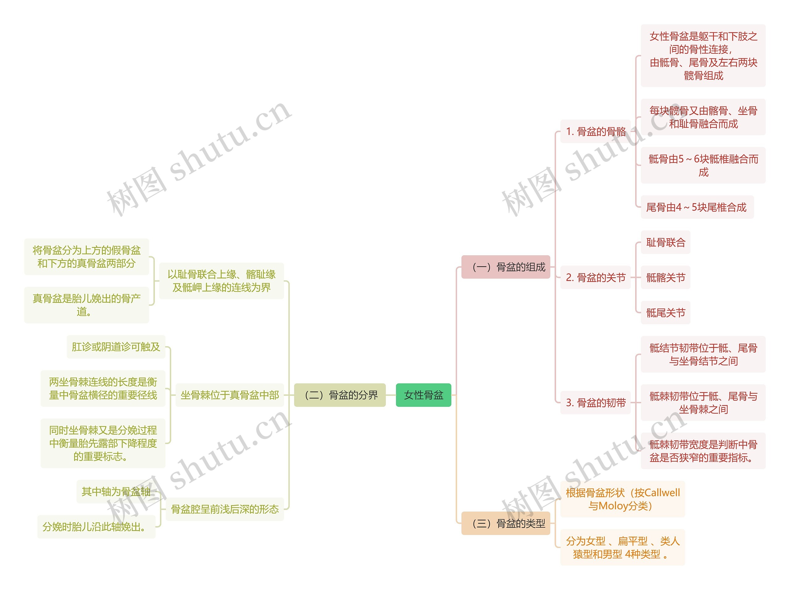  医学知识女性骨盆 思维导图