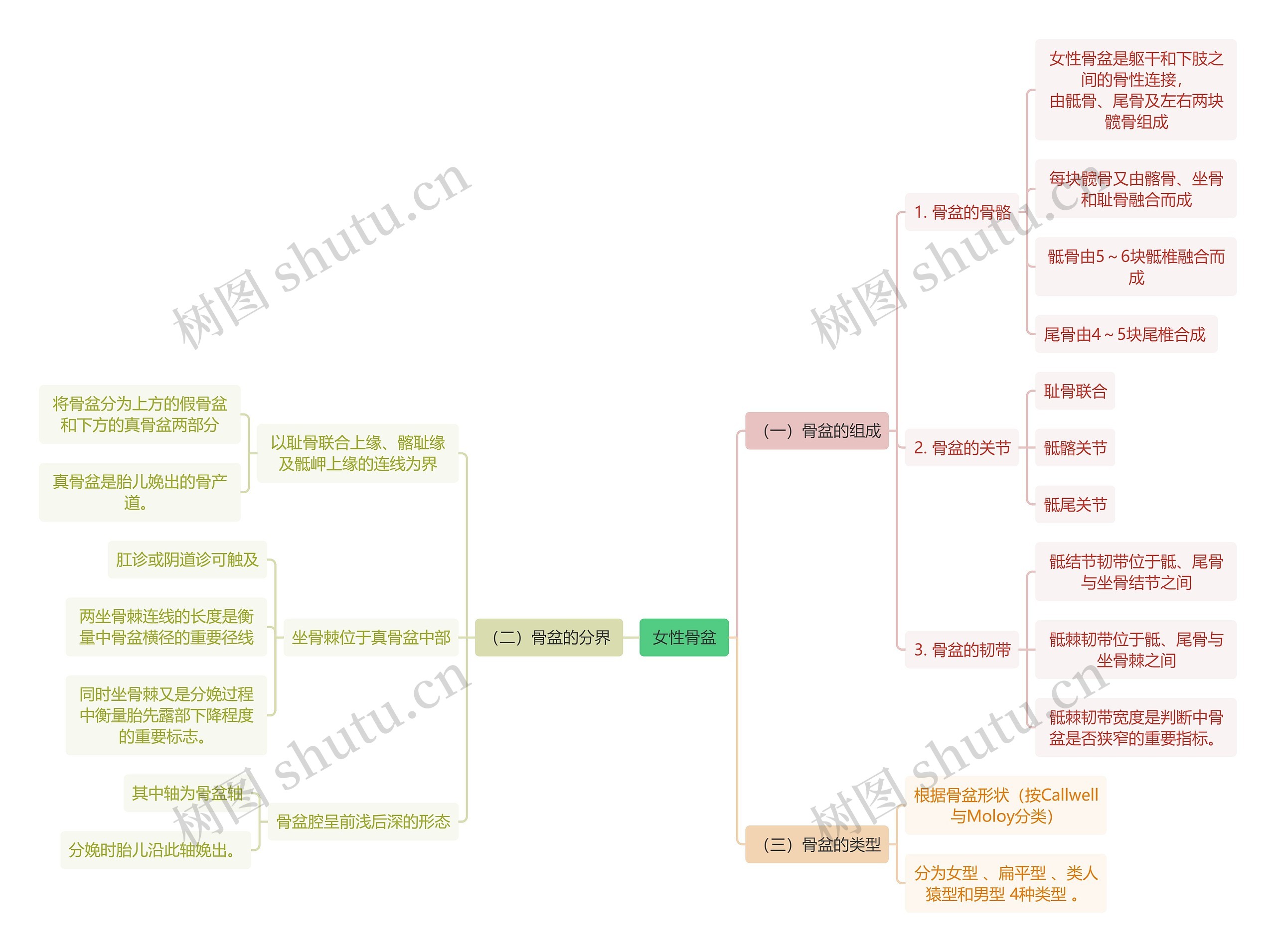 医学知识女性骨盆 思维导图高清图 医学知识女性骨盆 思维导图
