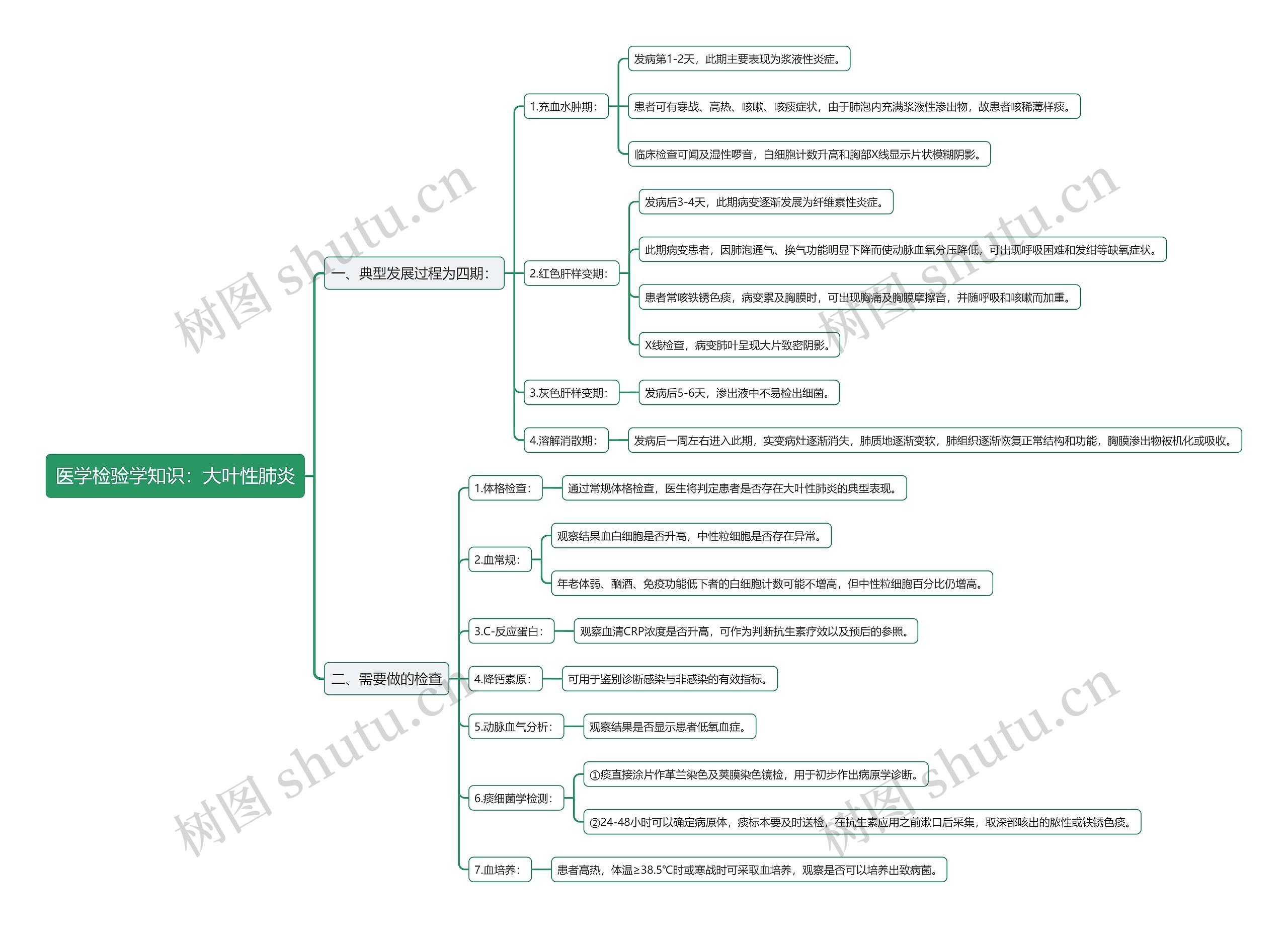 医学检验学知识：大叶性肺炎思维导图