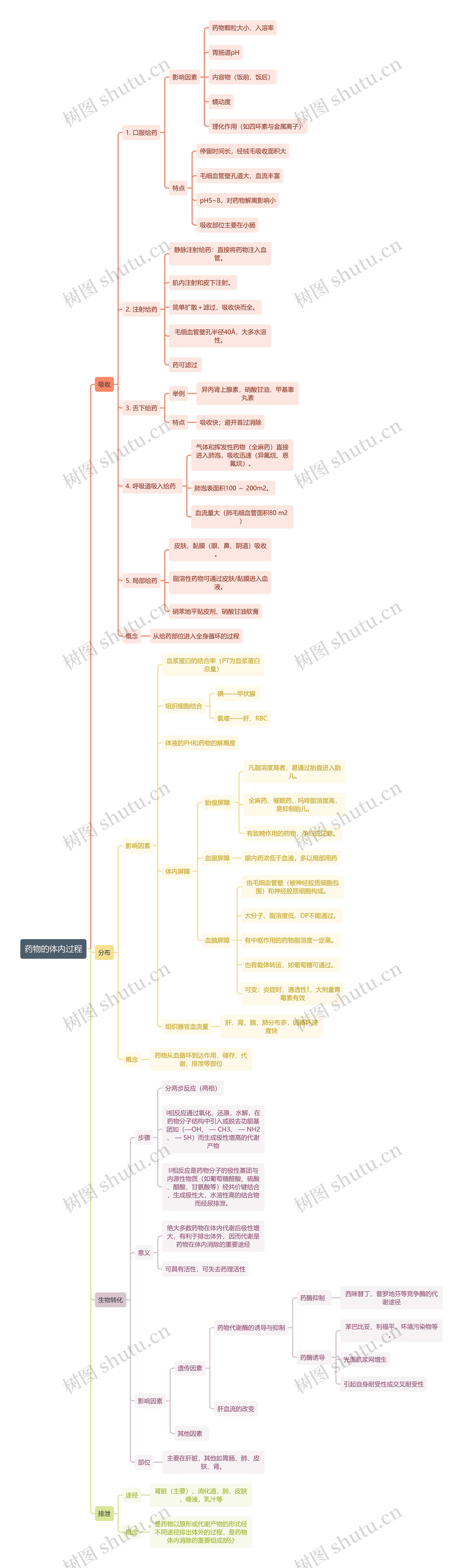 医学知识药物的体内过程思维导图