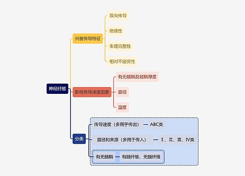 医学知识神经纤维思维导图