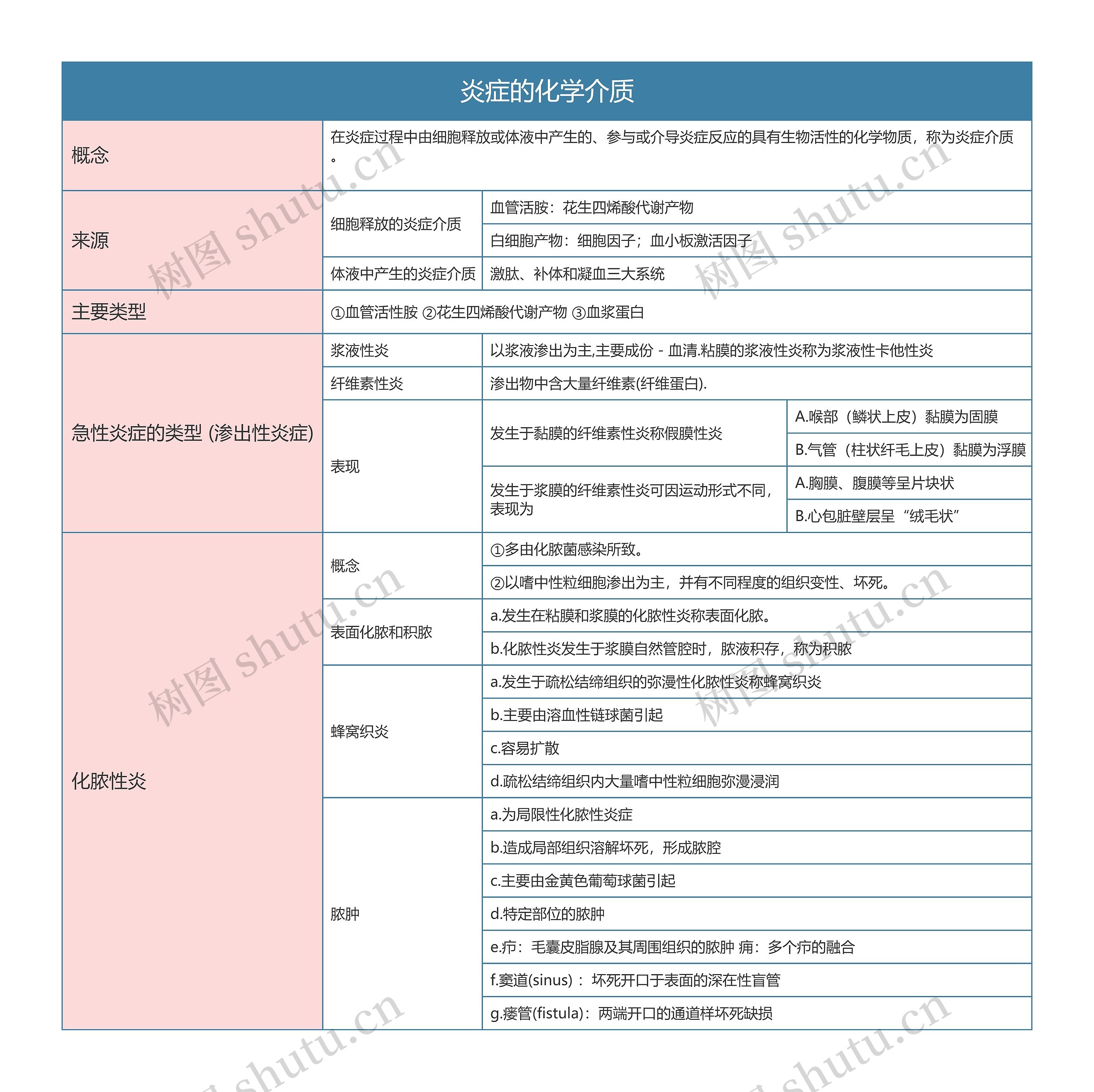 病理学  炎症的化学介质思维导图