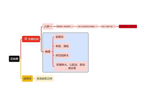 医学知识恙虫病机制思维导图