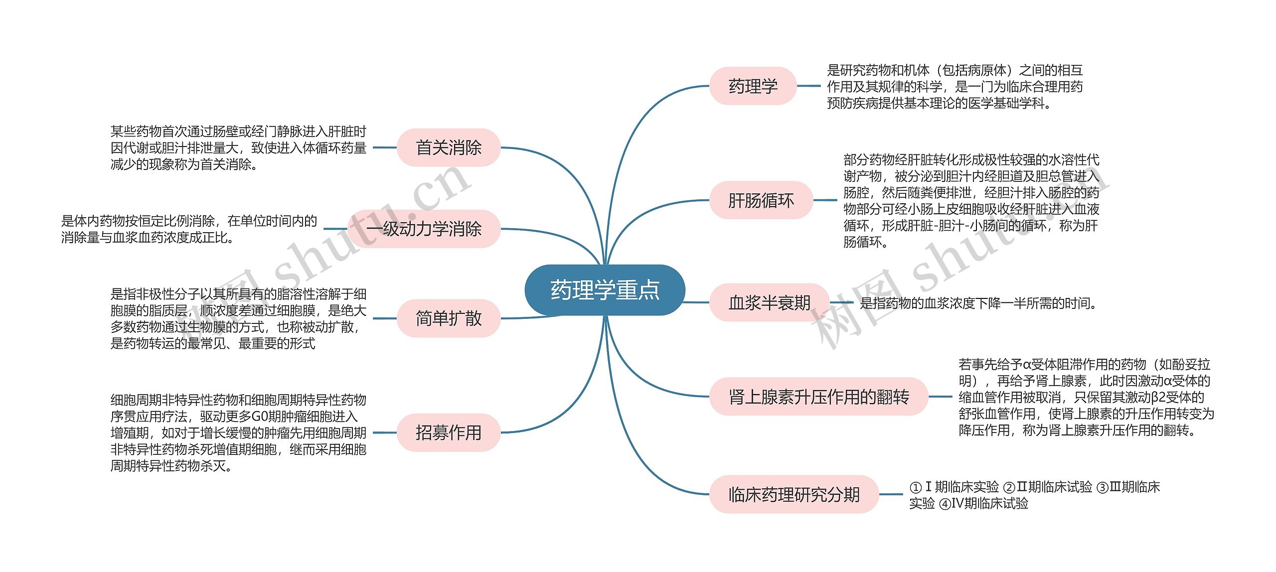 药理学重点思维导图