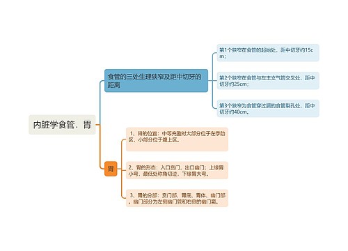 内脏学食管．胃思维导图