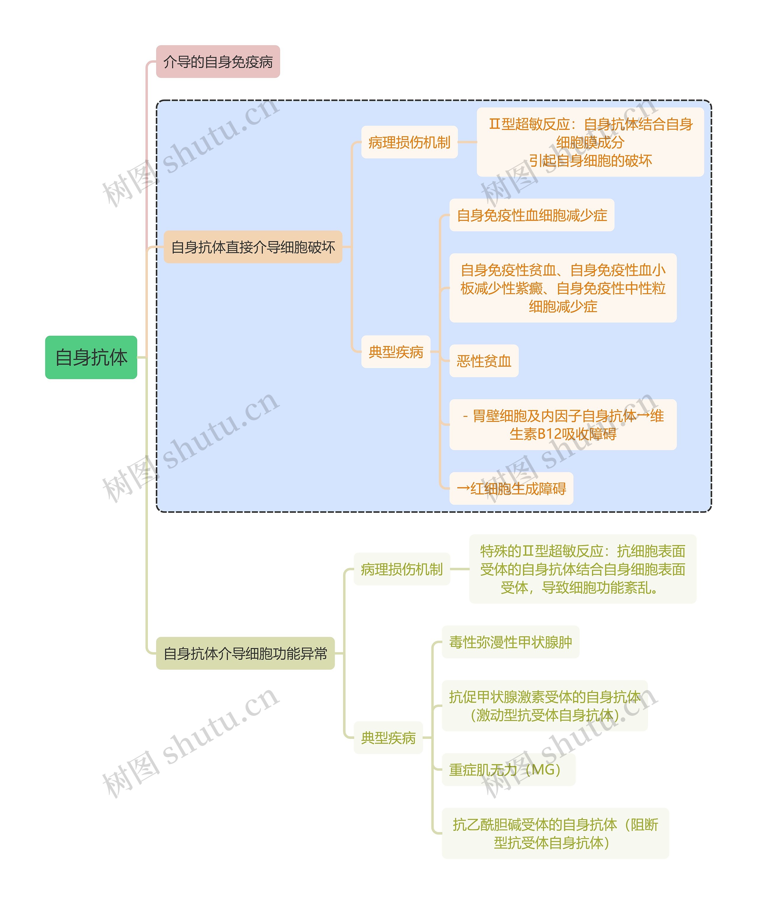 医学知识自身抗体思维导图