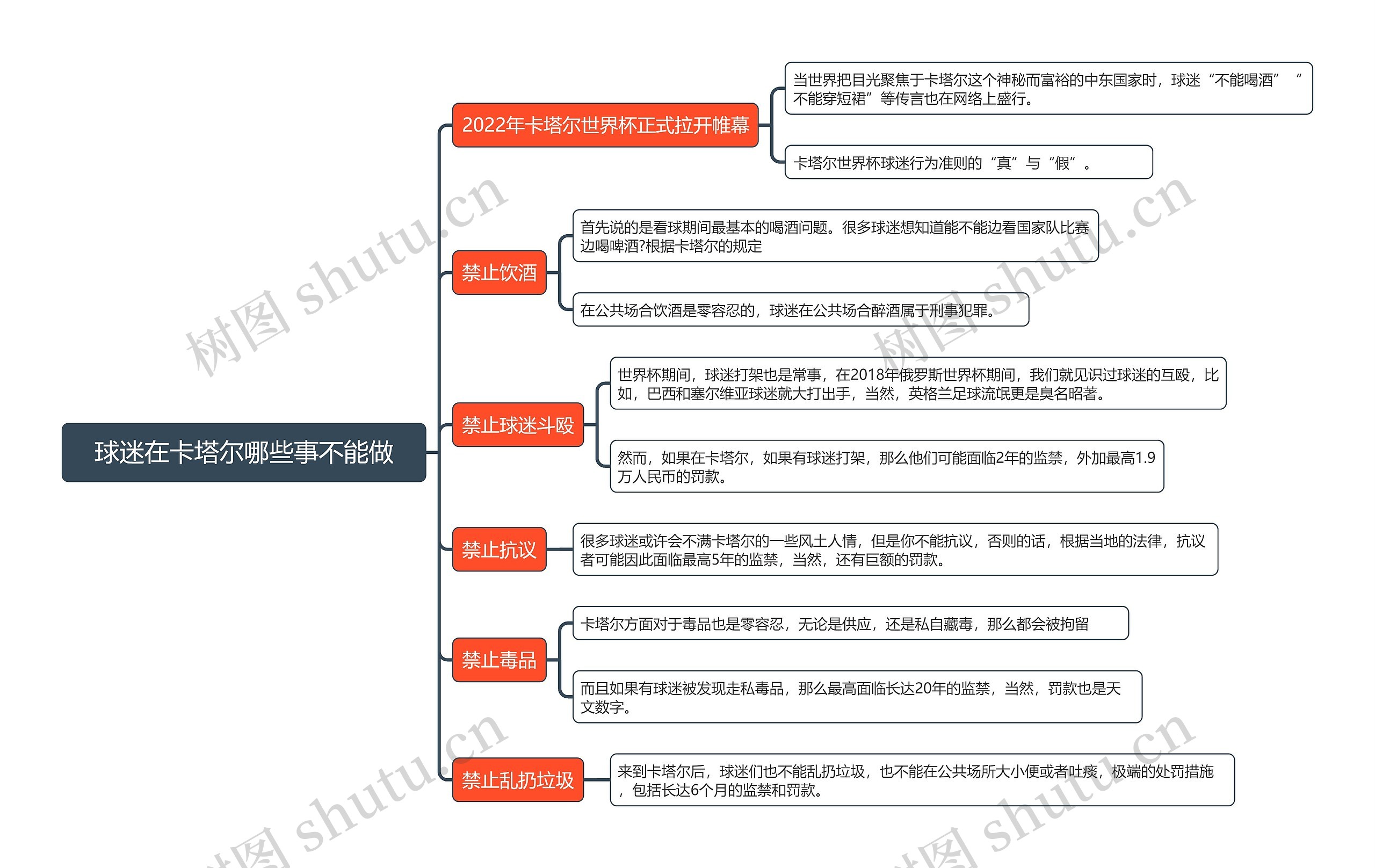 球迷在卡塔尔哪些事不能做