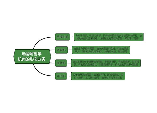 《动物解剖学肌肉的形态分类》思维导图